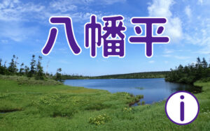 八幡平に行ってみよう!
