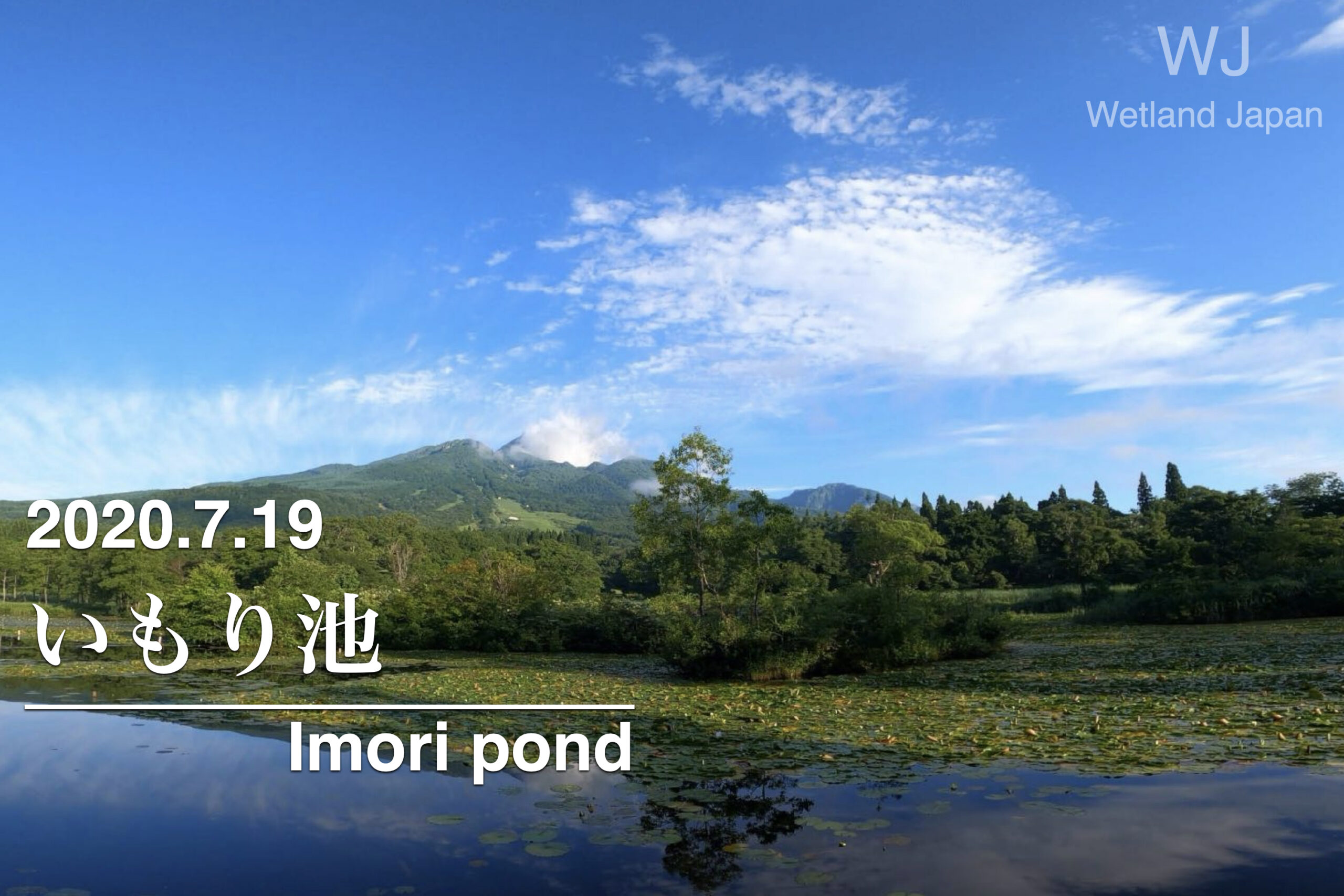 2020.7.19 いもり池-妙高の水鏡-