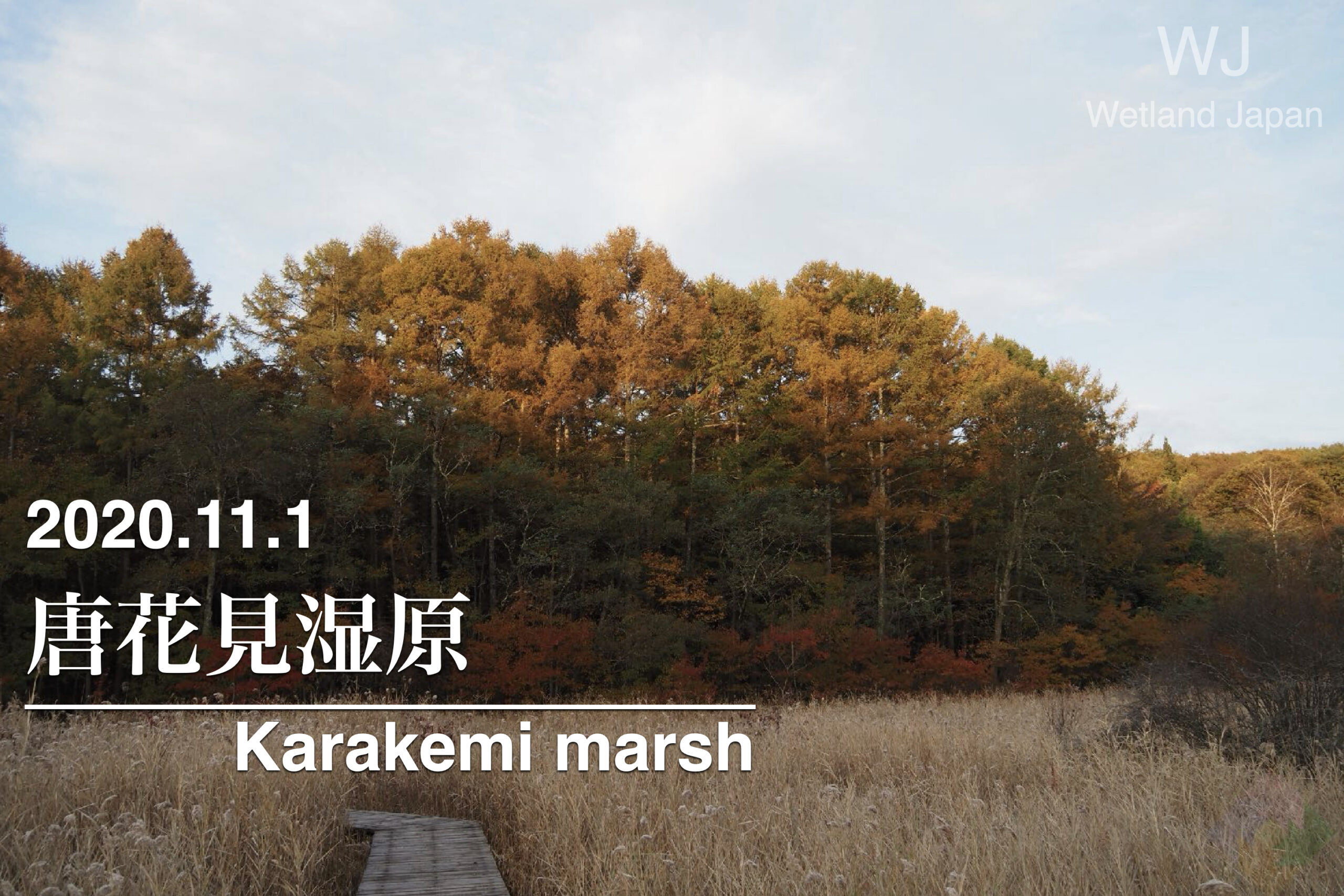 2020.11.1唐花見湿原-樹氷と紅葉の湿原-
