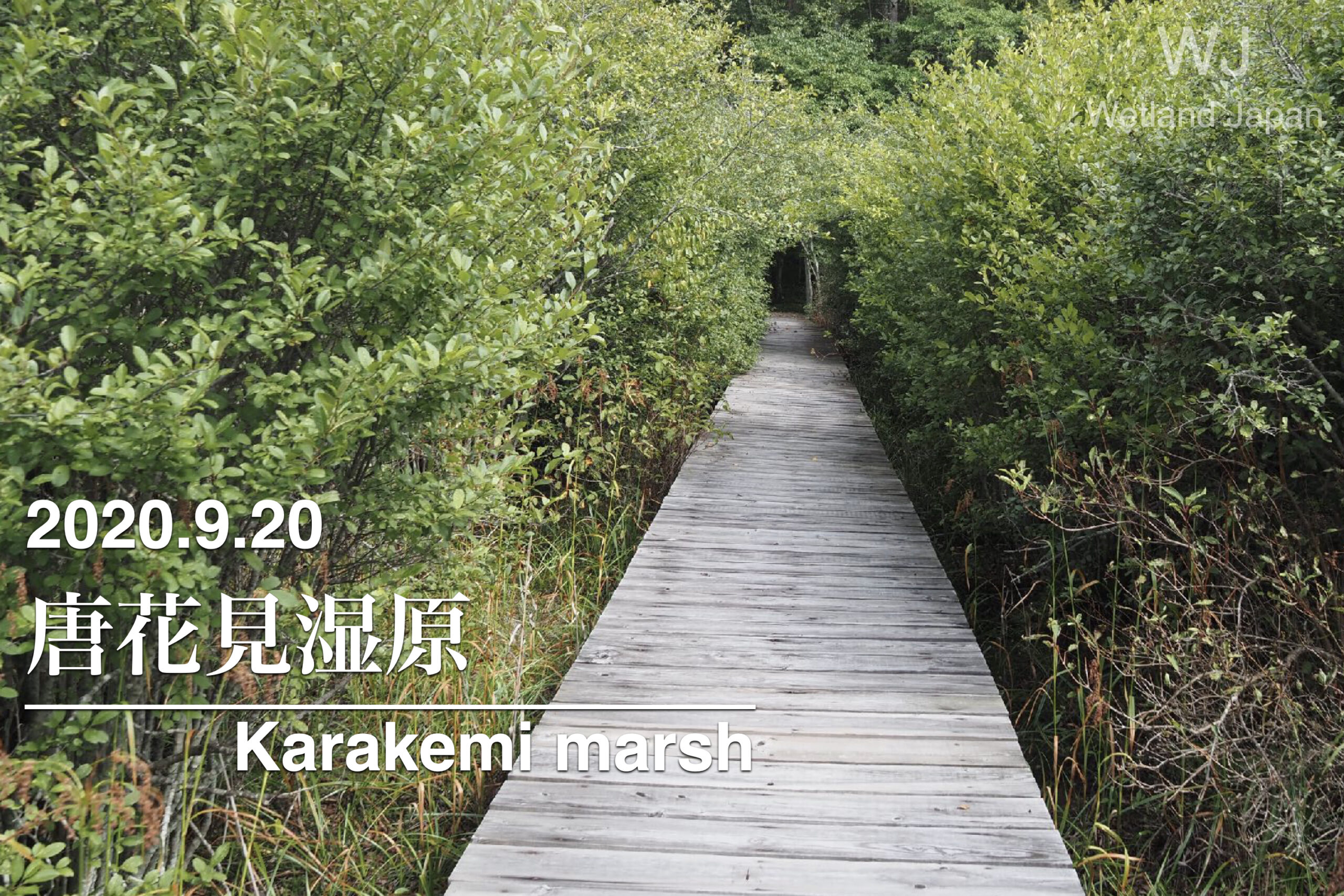 2020.9.20 唐花見湿原-秋目前の静かな湿原-