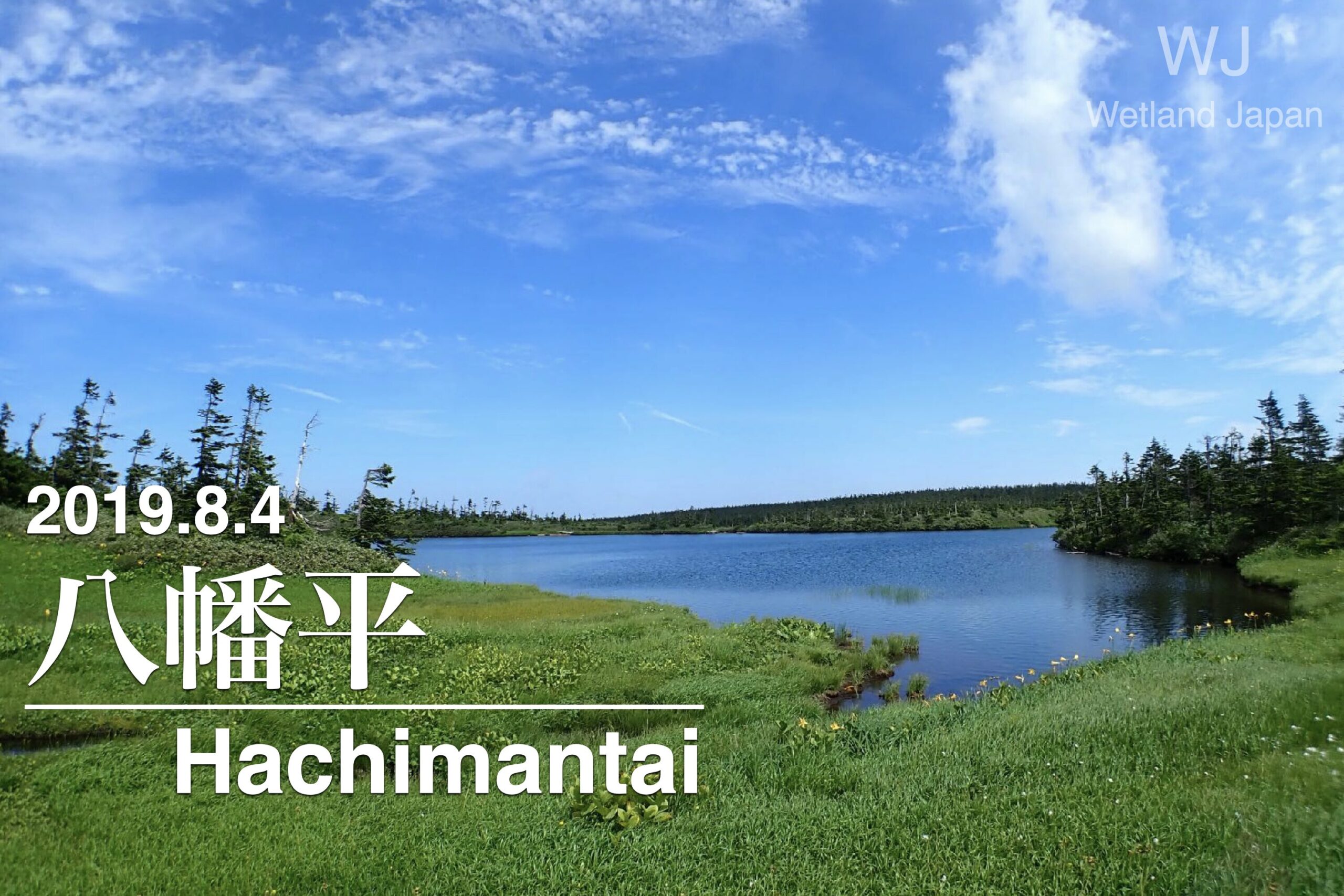2019.8.4 八幡平-岩手が誇る豊かな湿原-