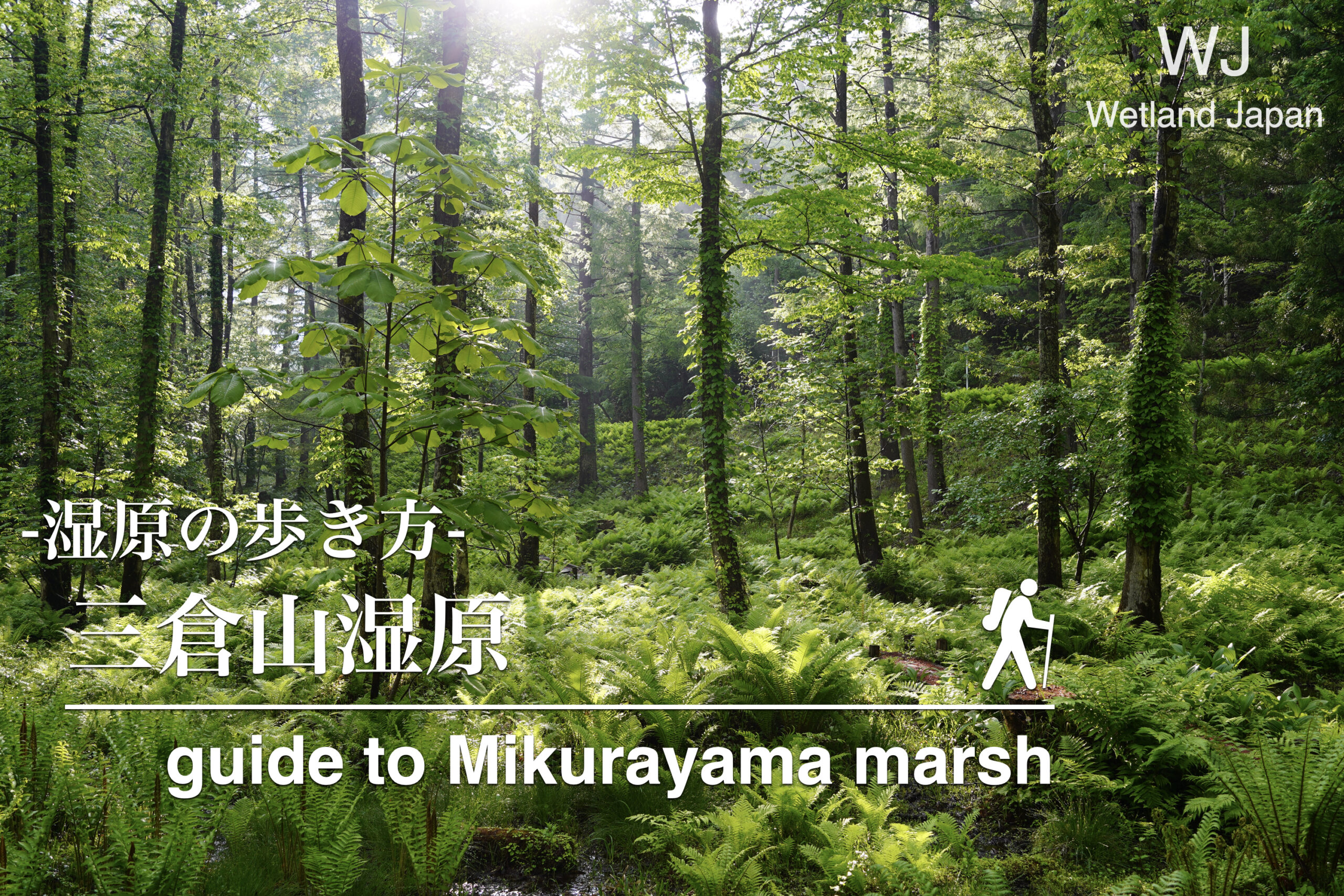 三倉山湿原に行ってみよう！
