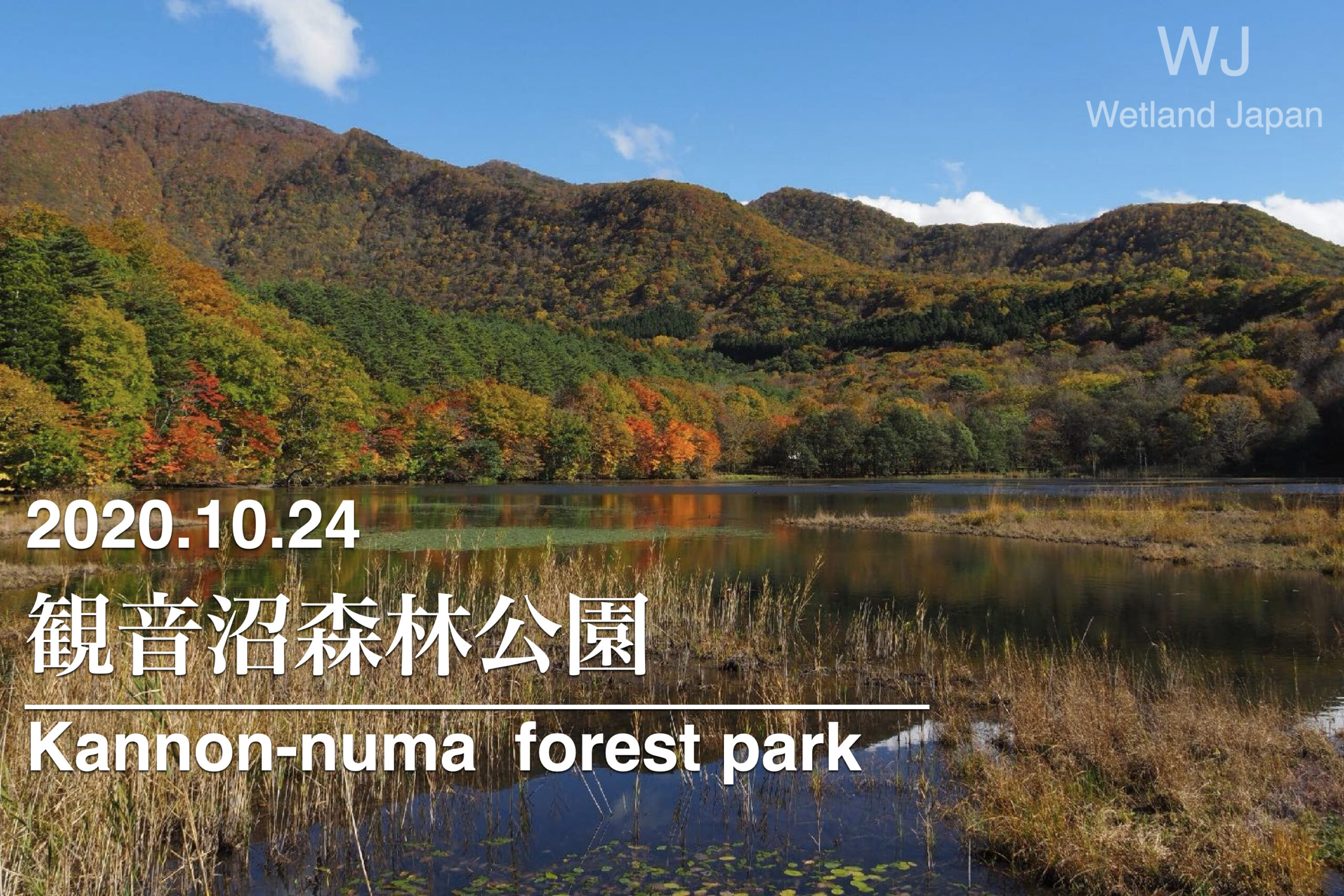 2020.10.24 観音沼森林公園-紅葉に染まる沼-