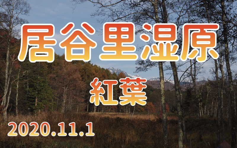 2020.11.1 居谷里湿原-美しい紅葉-