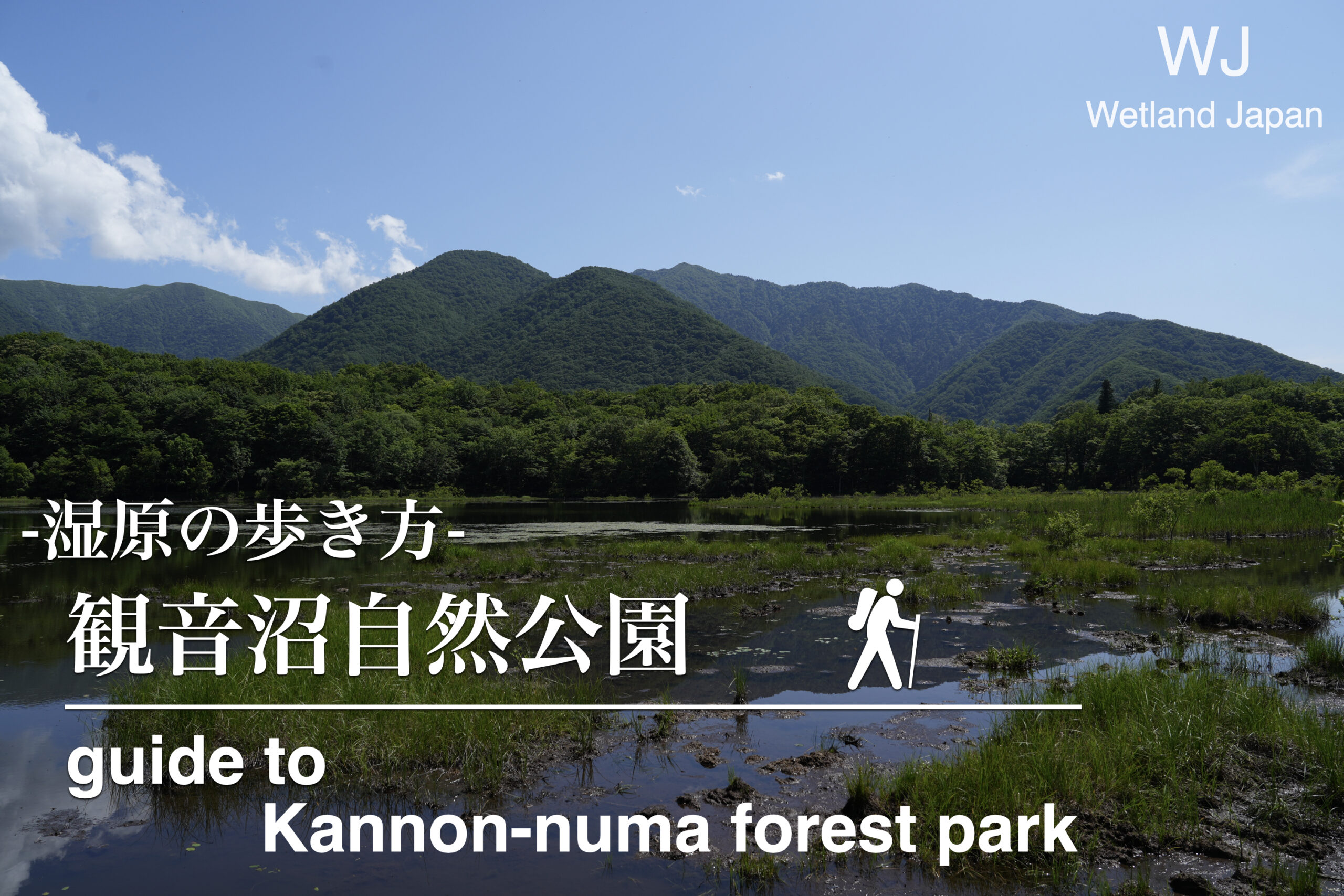 観音沼森林公園に行ってみよう！