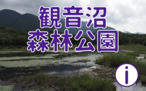 観音沼森林公園に行ってみよう!