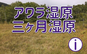 アワラ湿原・三ヶ月池湿原に行ってみよう!