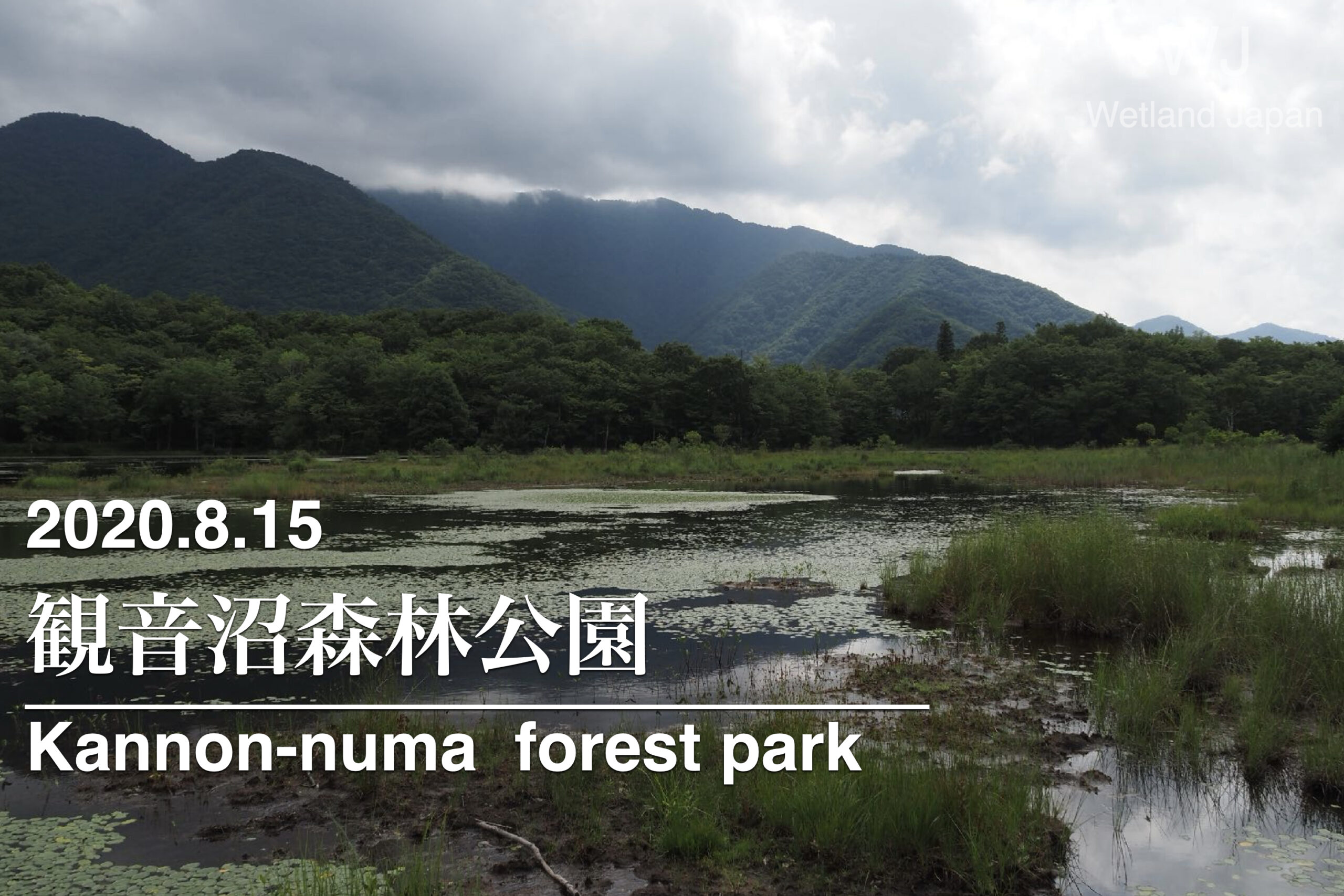 2020.8.15 観音沼森林公園-自然豊かな沼地-