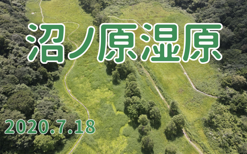 2020.7.18 沼の原湿原-斑尾高原の広大な湿原-