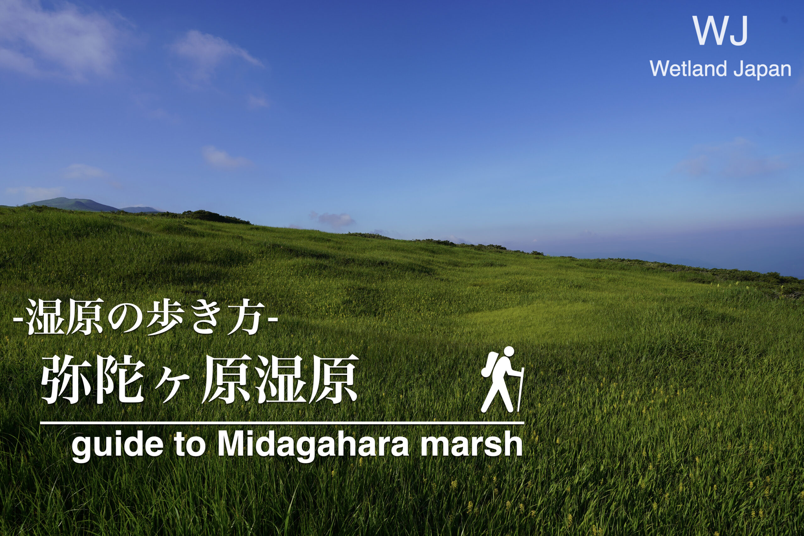 弥陀ヶ原湿原に行ってみよう！
