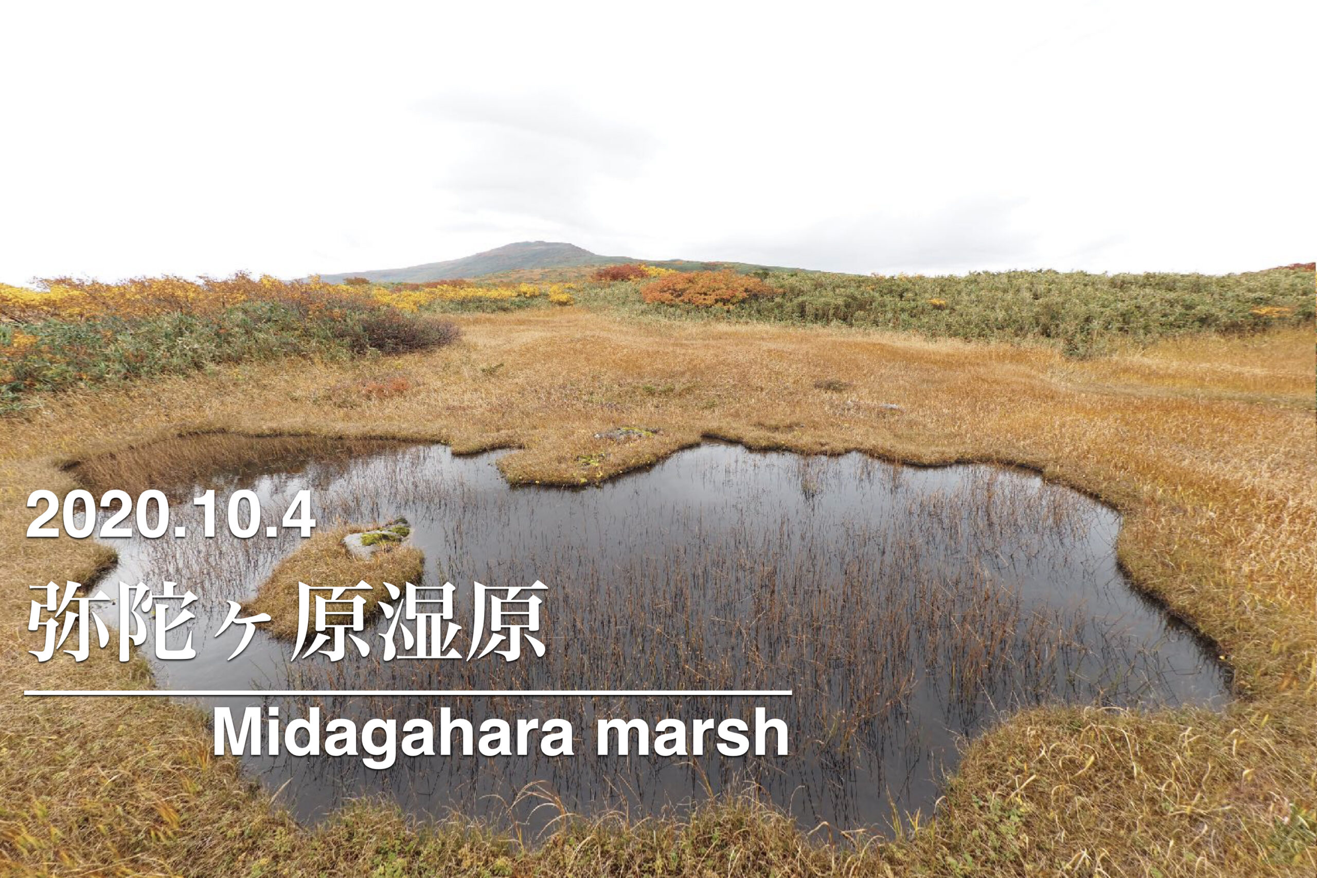 2020.10.4 弥陀ヶ原湿原-色づく山と湿原-