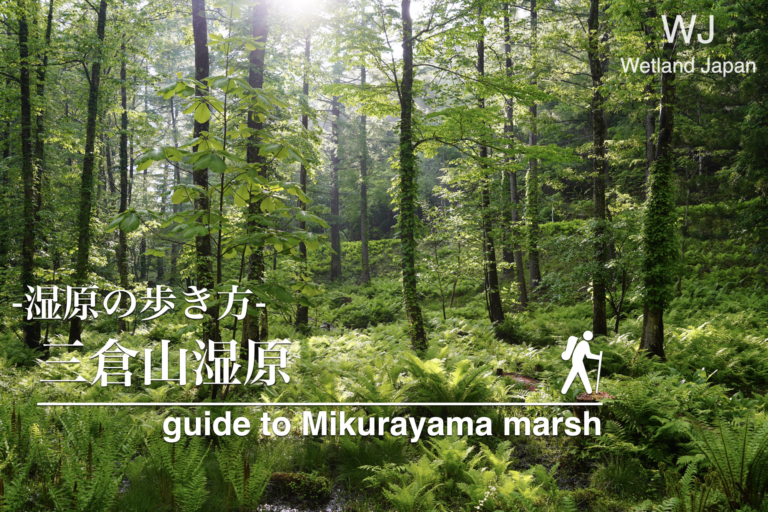 三倉山湿原に行ってみよう！