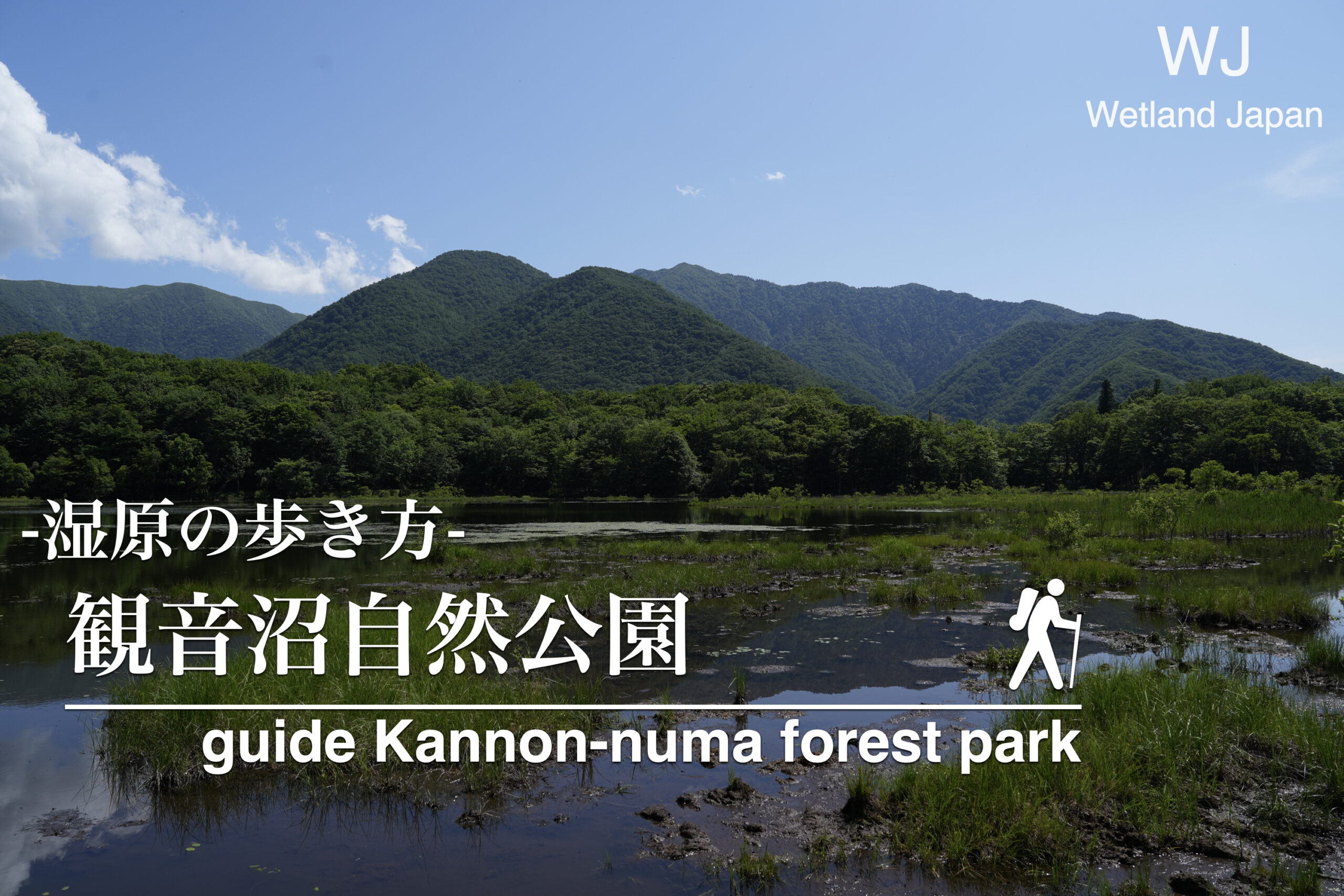 観音沼森林公園に行ってみよう！