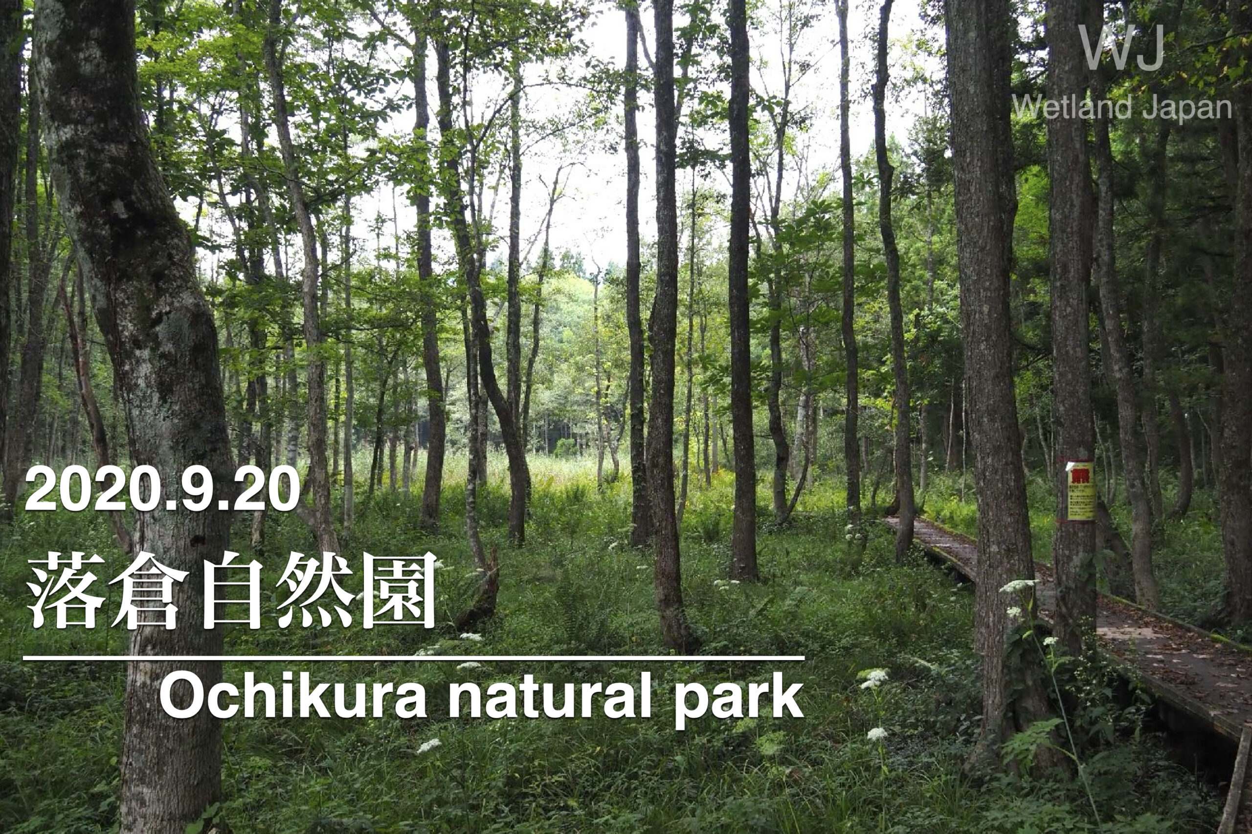 2020.9.20 落倉自然園-静かな小湿原-