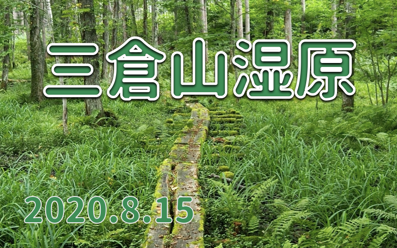 2020.8.15 三倉山湿原-下郷の小湿原-
