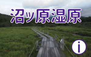 沼ッ原湿原に行ってみよう!