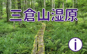 三倉山湿原に行ってみよう!