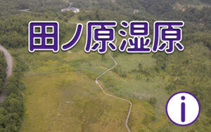 田ノ原湿原に行ってみよう!