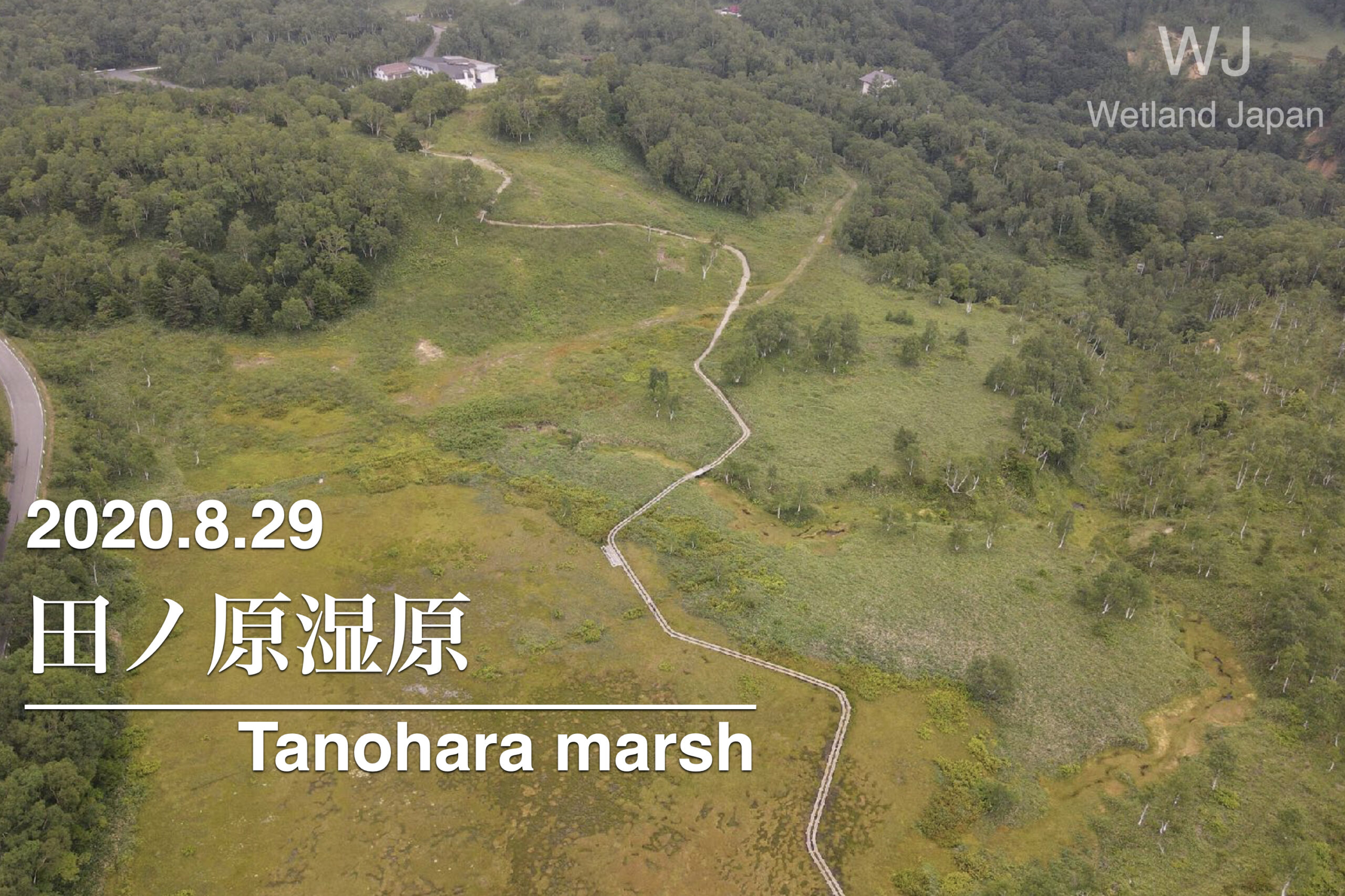 2020.8.29 田ノ原湿原-志賀高原の観光湿原-