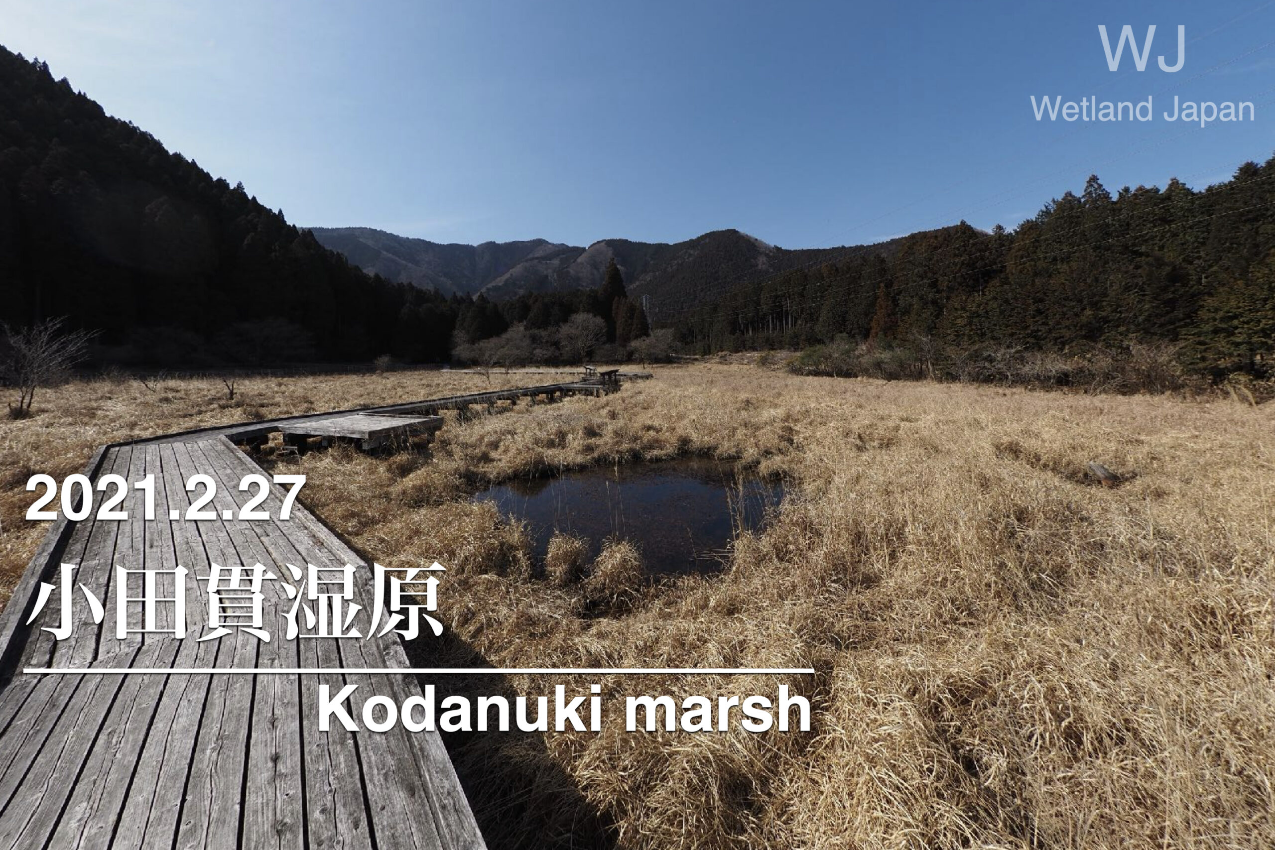2021.2.27 小田貫湿原-富士山を一望できる湿原-