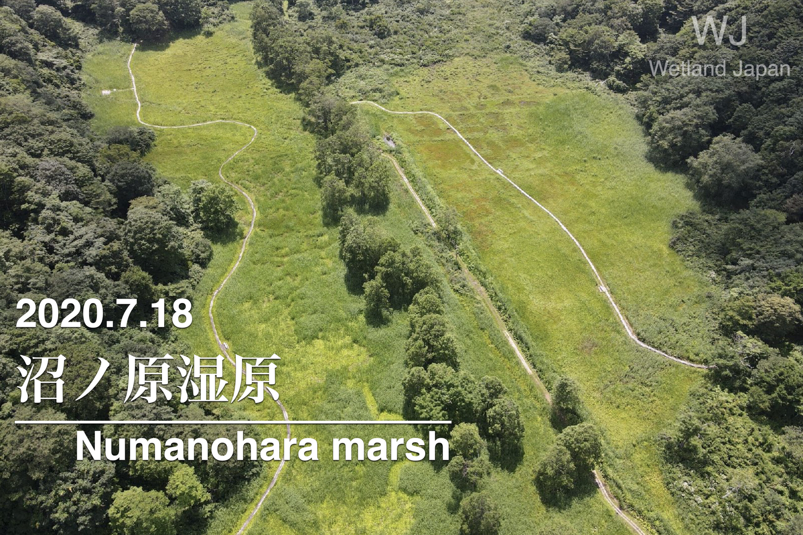 2020.7.18 沼の原湿原-斑尾高原の広大な湿原-
