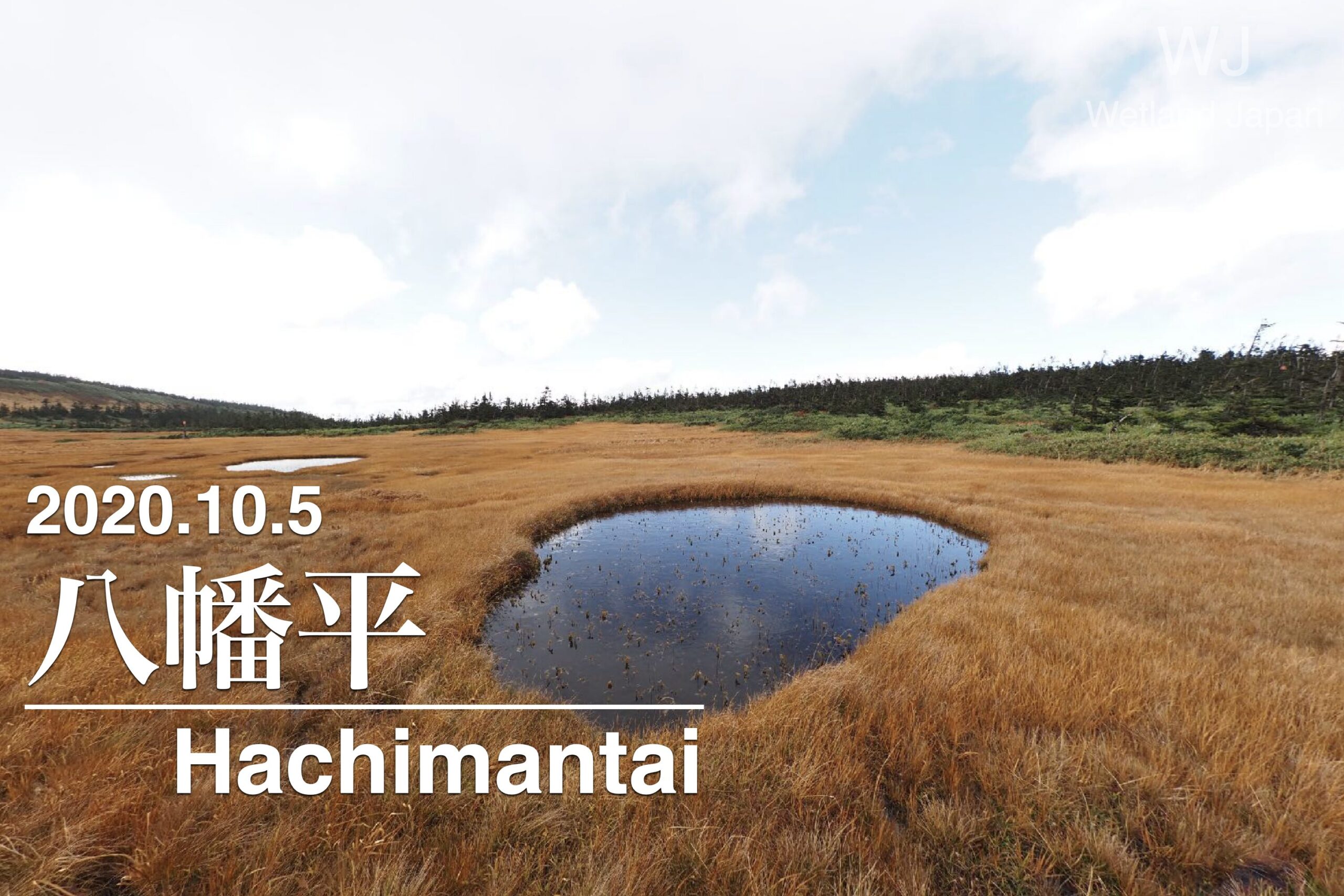 2020.10.5八幡平-広大な草紅葉-