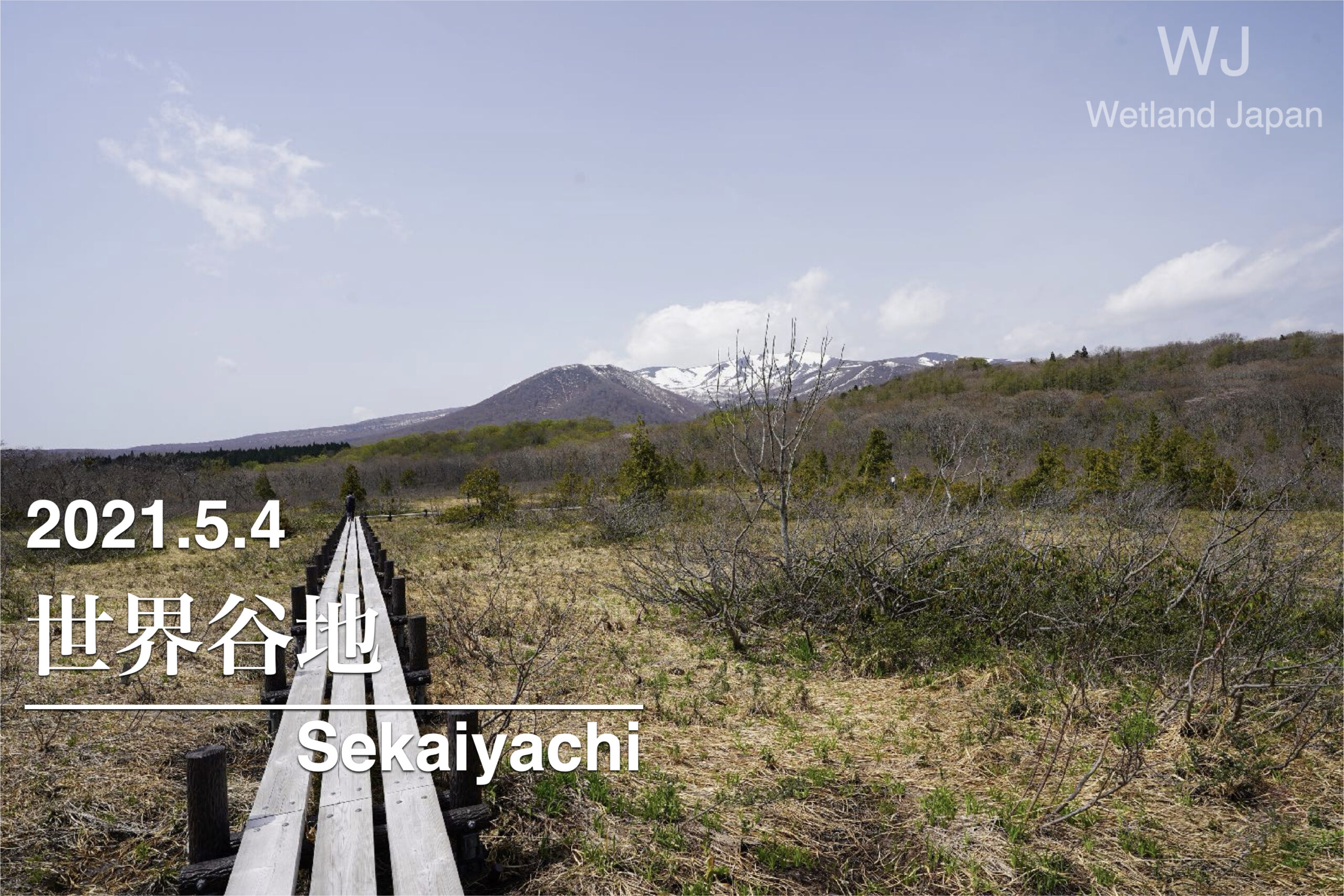 2021.5.4 世界谷地 第一湿原-栗駒山麓の湿原-