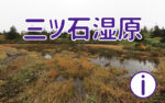 三ツ石湿原に行ってみよう！