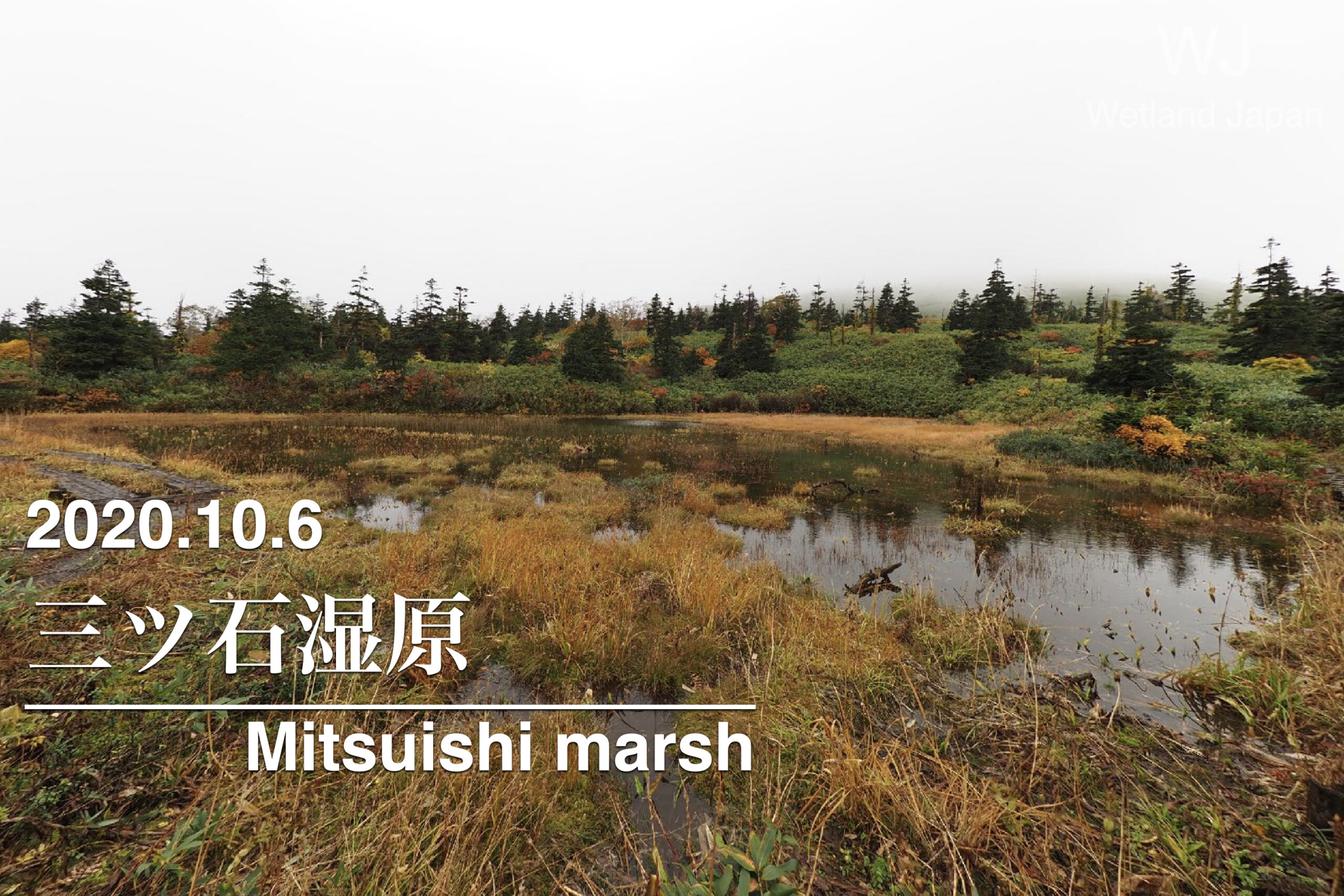 2020.10.6 三ツ石湿原-紅く染まる湿原と山-