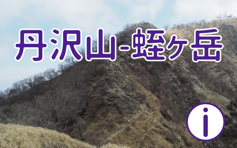 丹沢-蛭ヶ岳縦走 登山情報