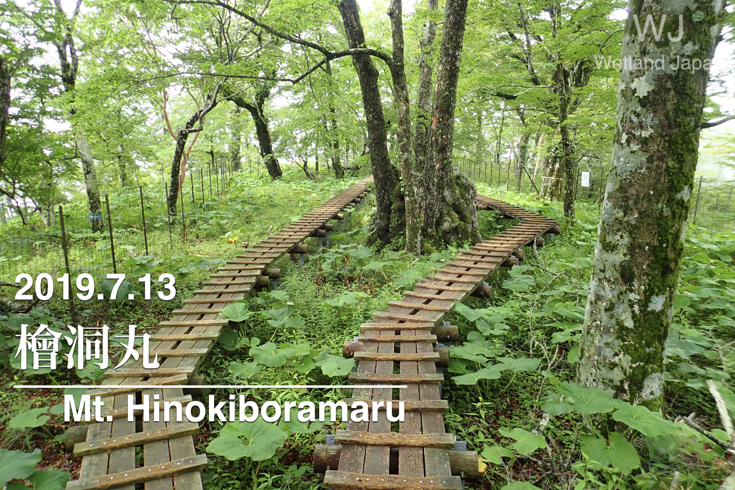 2019.8.2 丹沢 檜洞丸 登山記