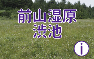 前山湿原・渋池に行ってみよう!