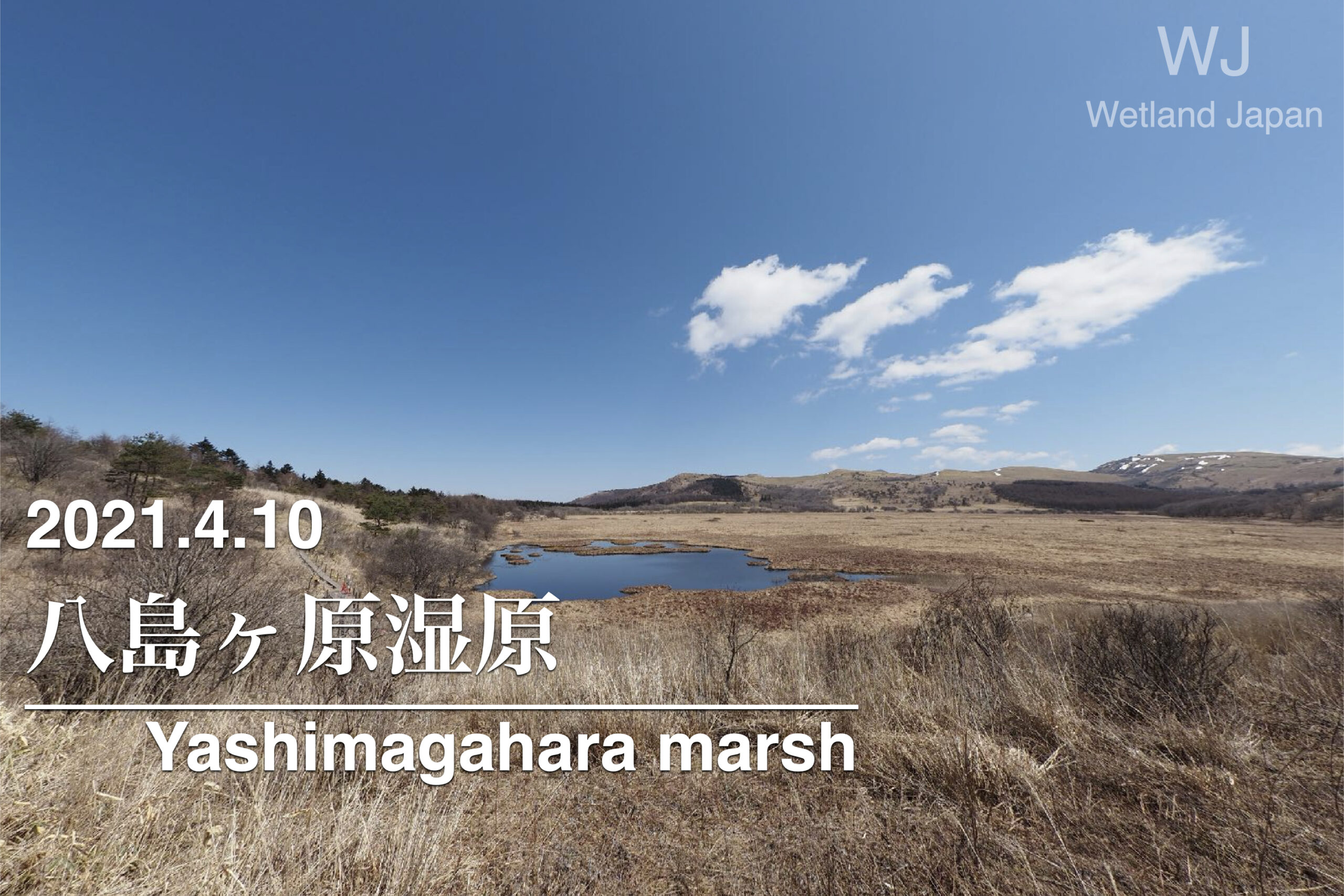 2021.4.10 八島ヶ原湿原-早春の八島ヶ池-
