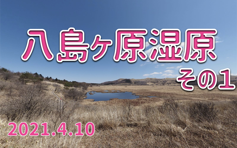 2021.4.10 八島ヶ原湿原-早春の八島ヶ池-
