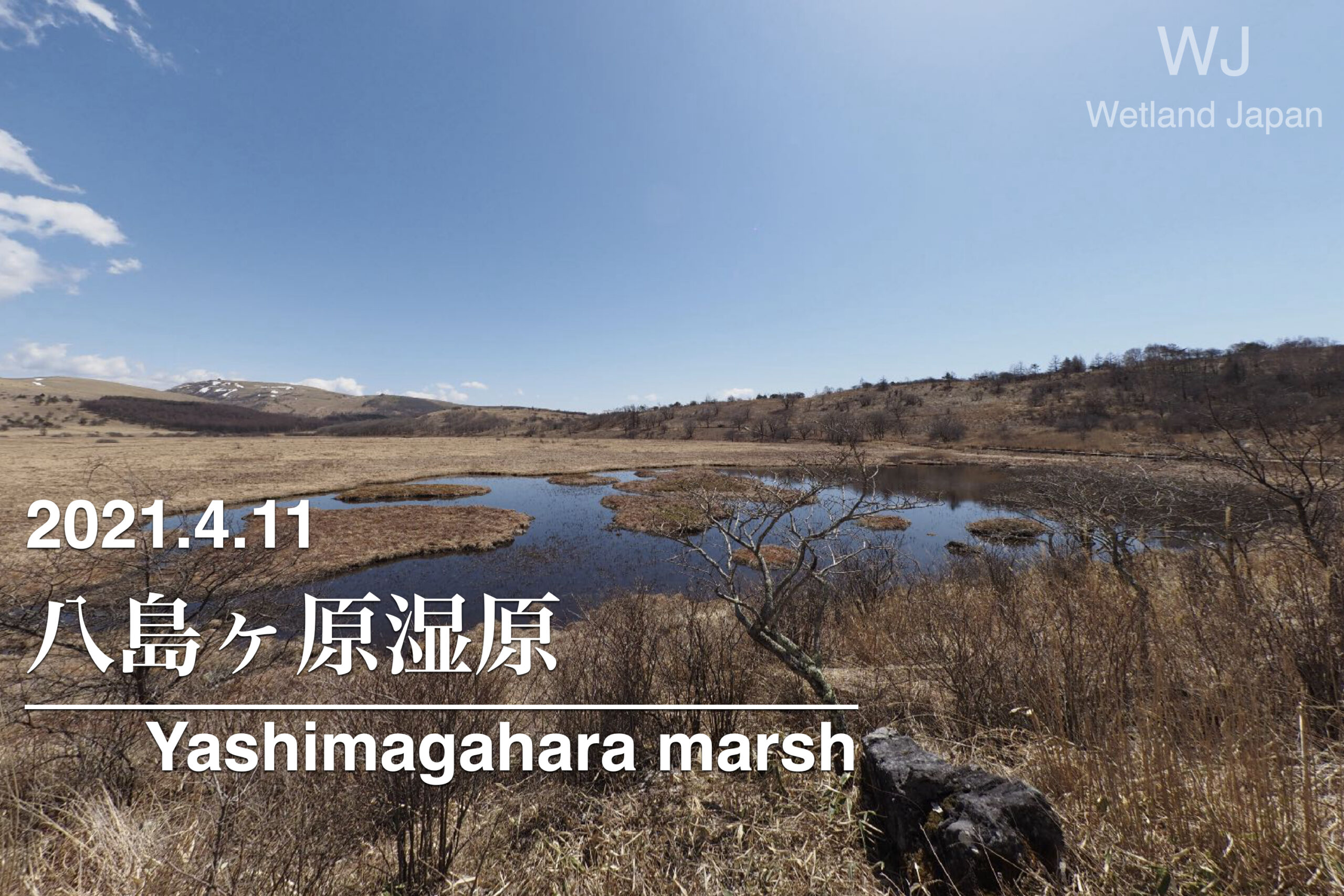 2021.4.11 八島ヶ原湿原-早春の池めぐり-