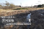 黒河湿地植物群落に行ってみよう!