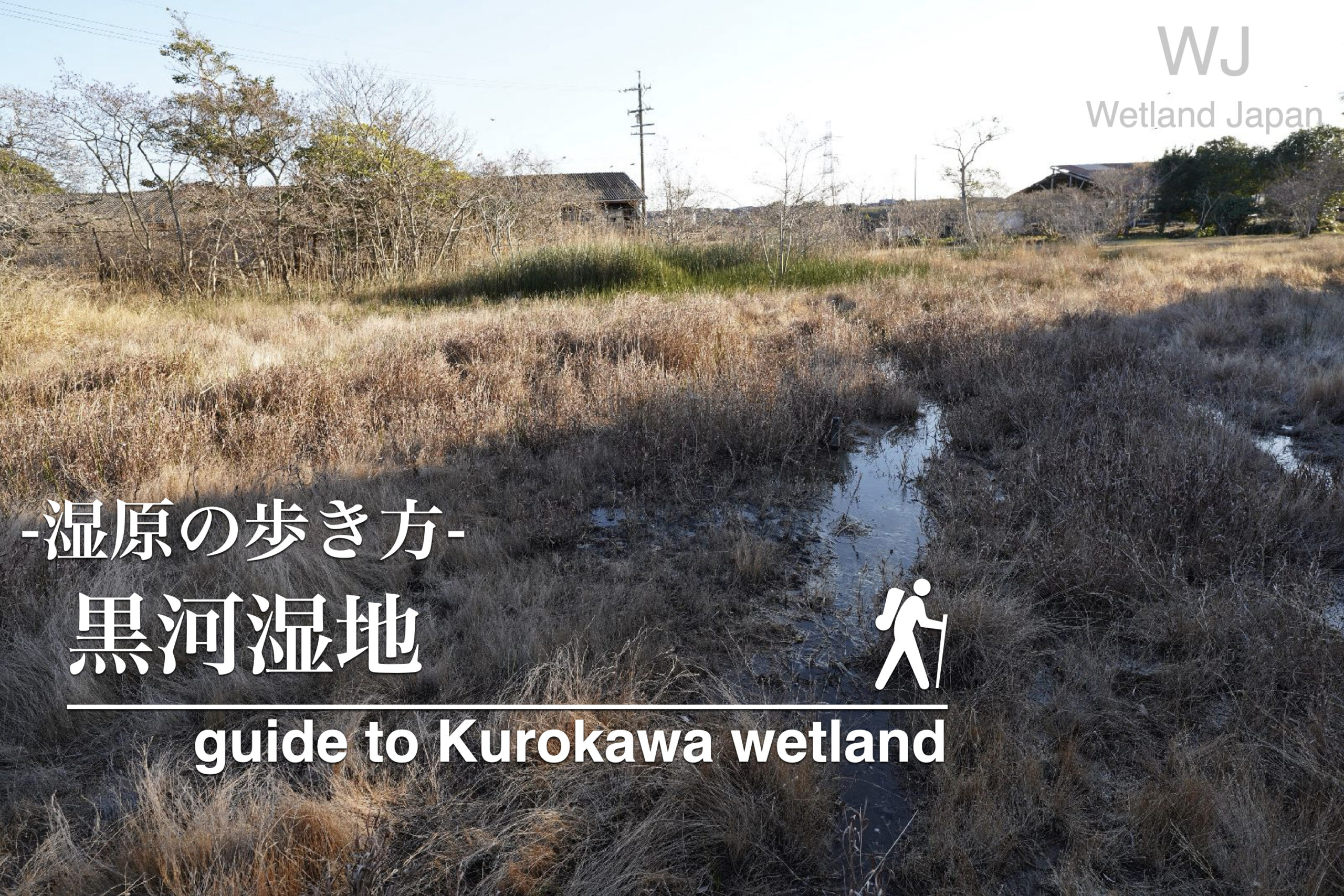 黒河湿地植物群落に行ってみよう！