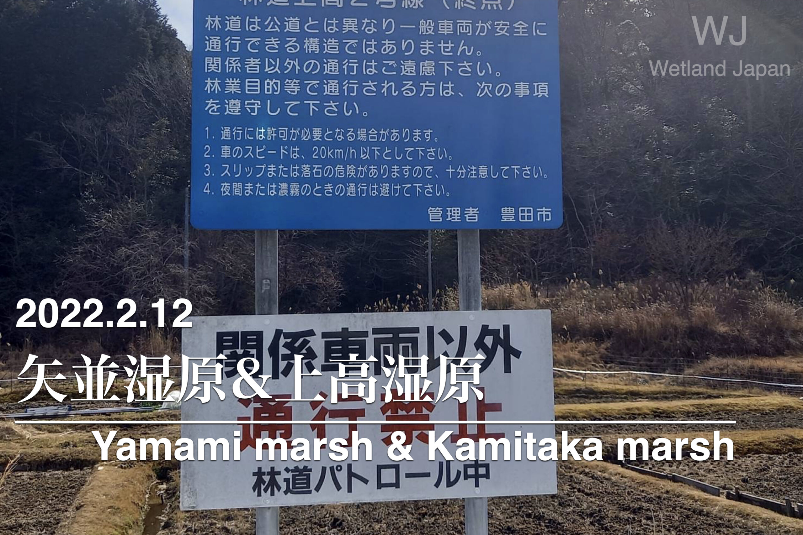 2022.2.12 矢並湿原&上高湿地-探索不可の湿原-