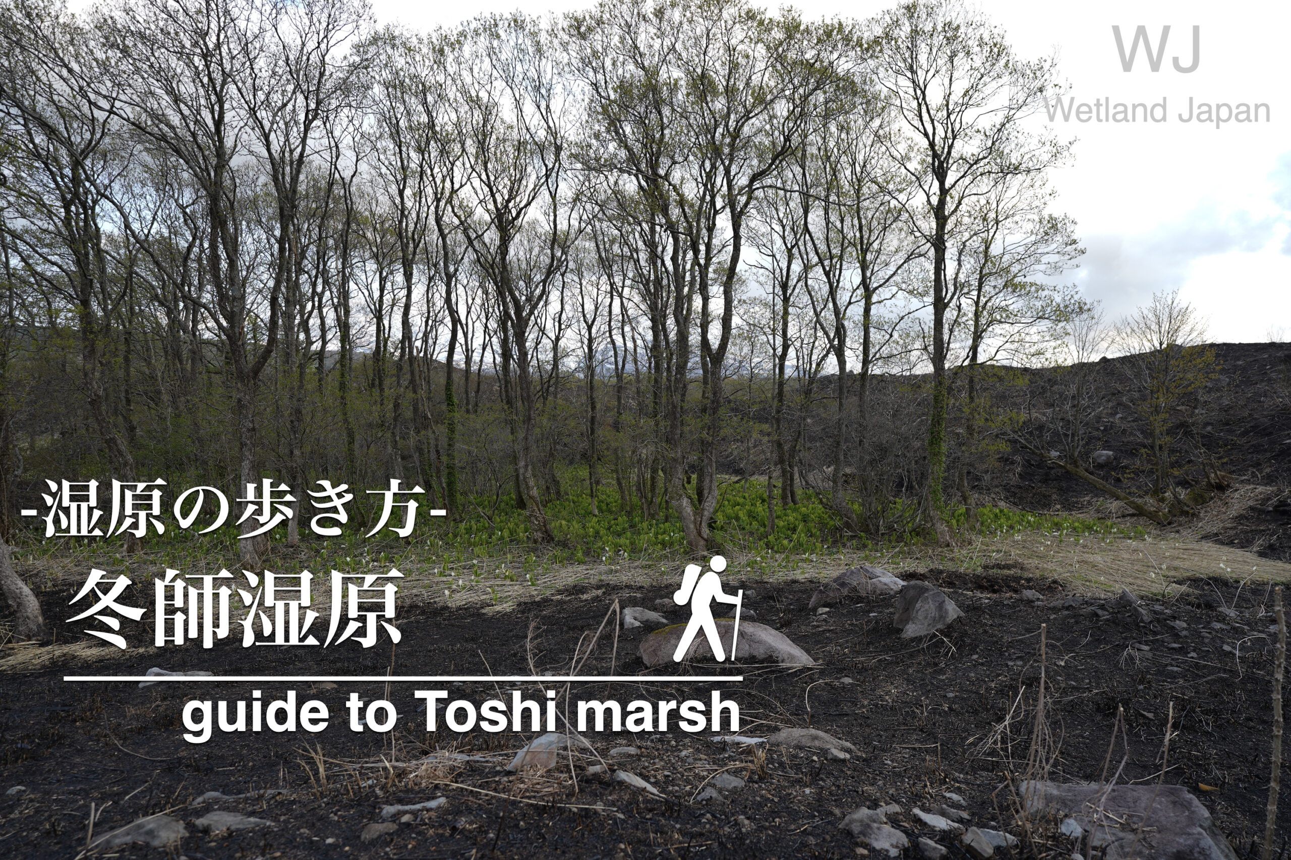冬師湿原に行ってみよう!