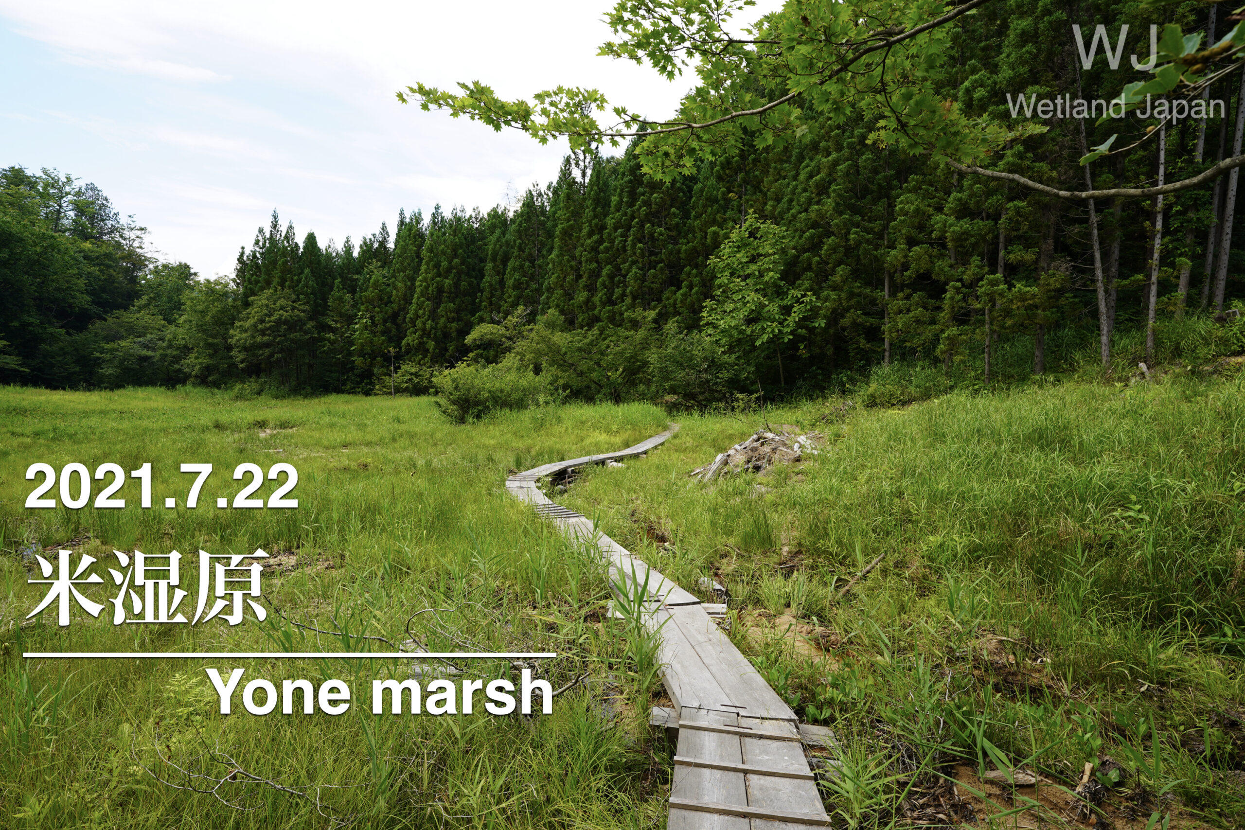 2021.7.22米湿原-木道の修復作業に出会えた！-