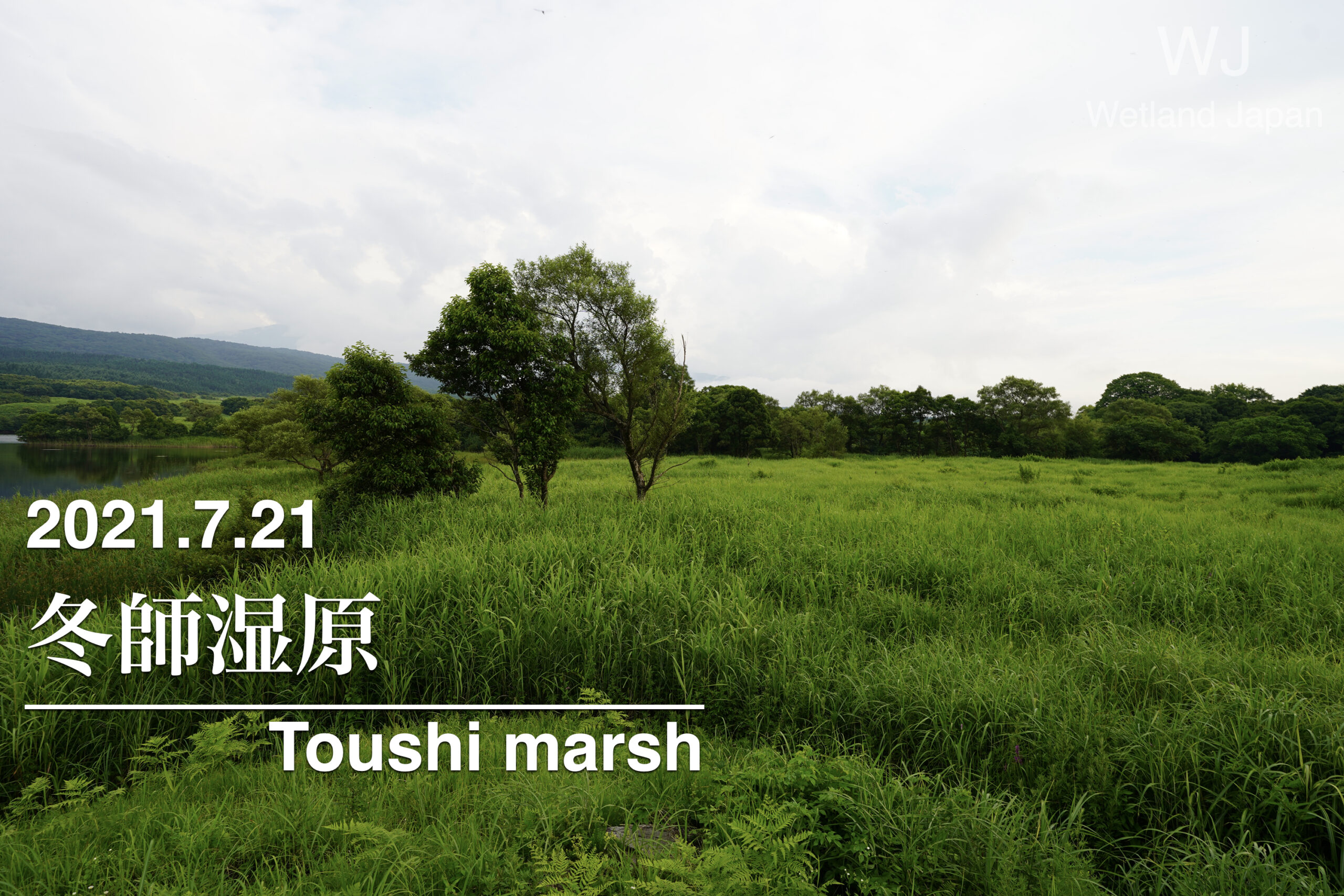 2021.7.23 冬師湿原-詳細不明の湿原-