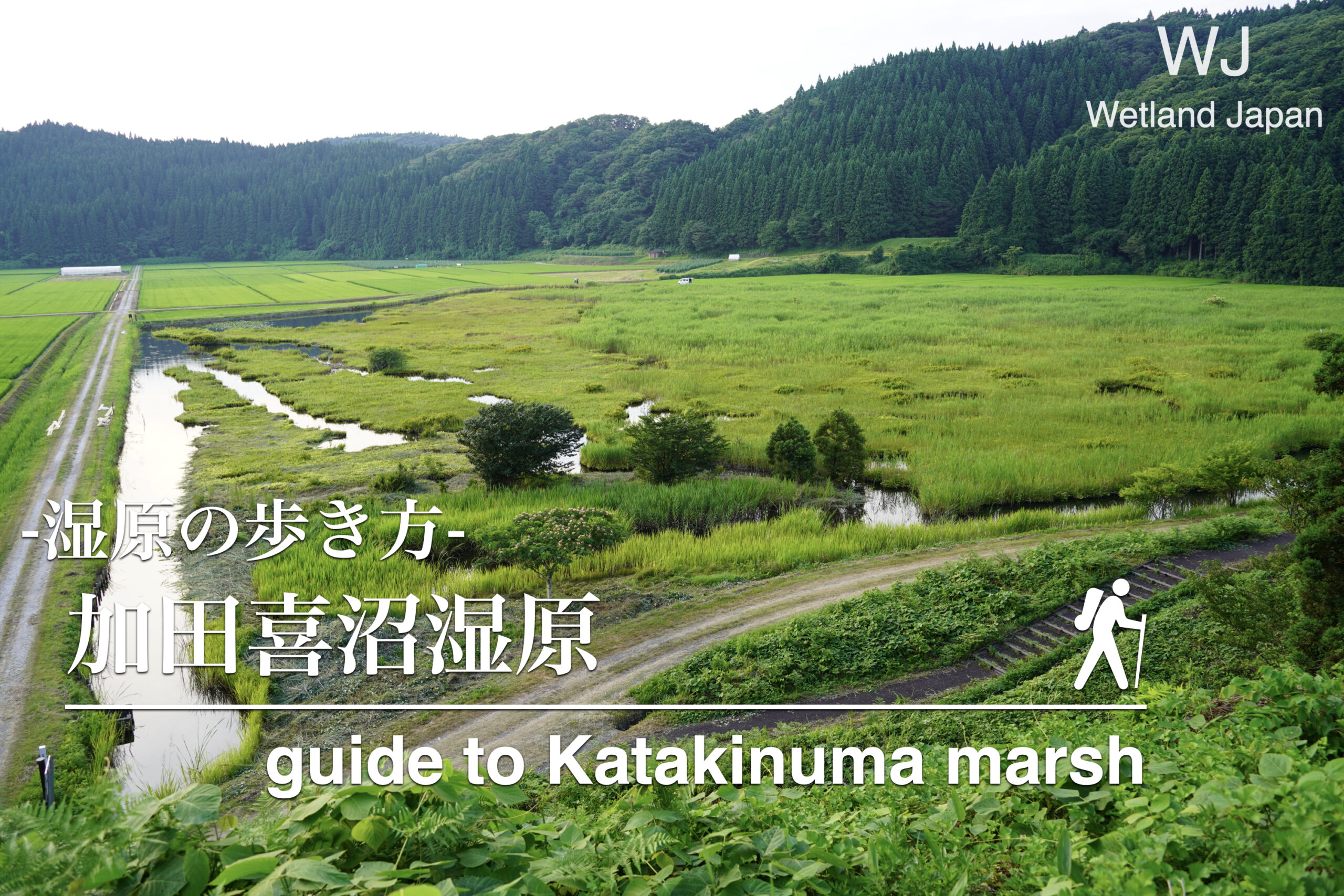 加田喜沼湿原に行ってみよう！