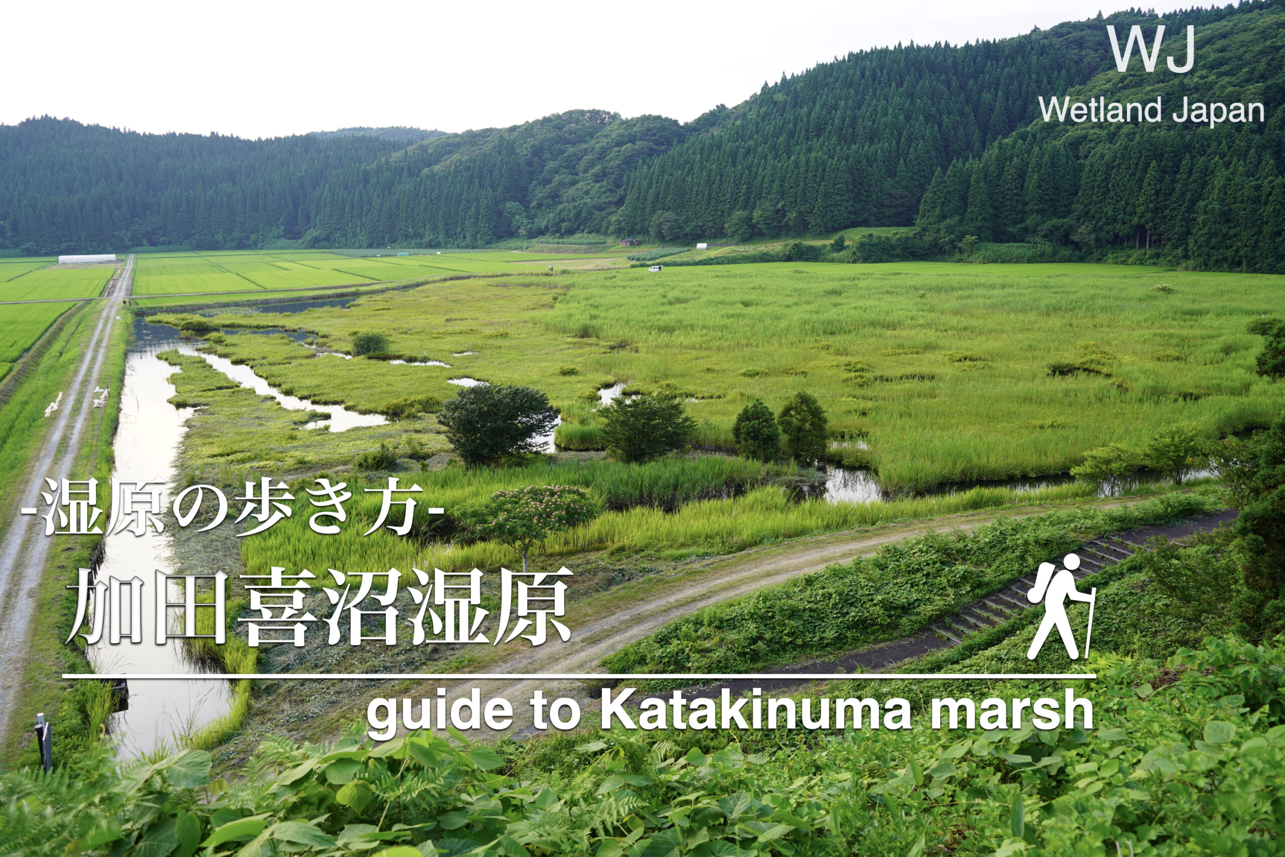 加田喜沼湿原に行ってみよう!