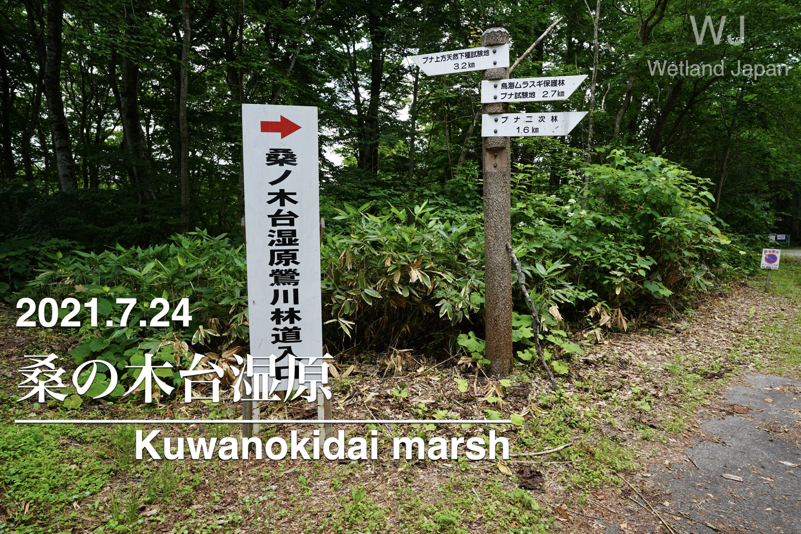 2021.7.24 桑の木台湿原（撤退）