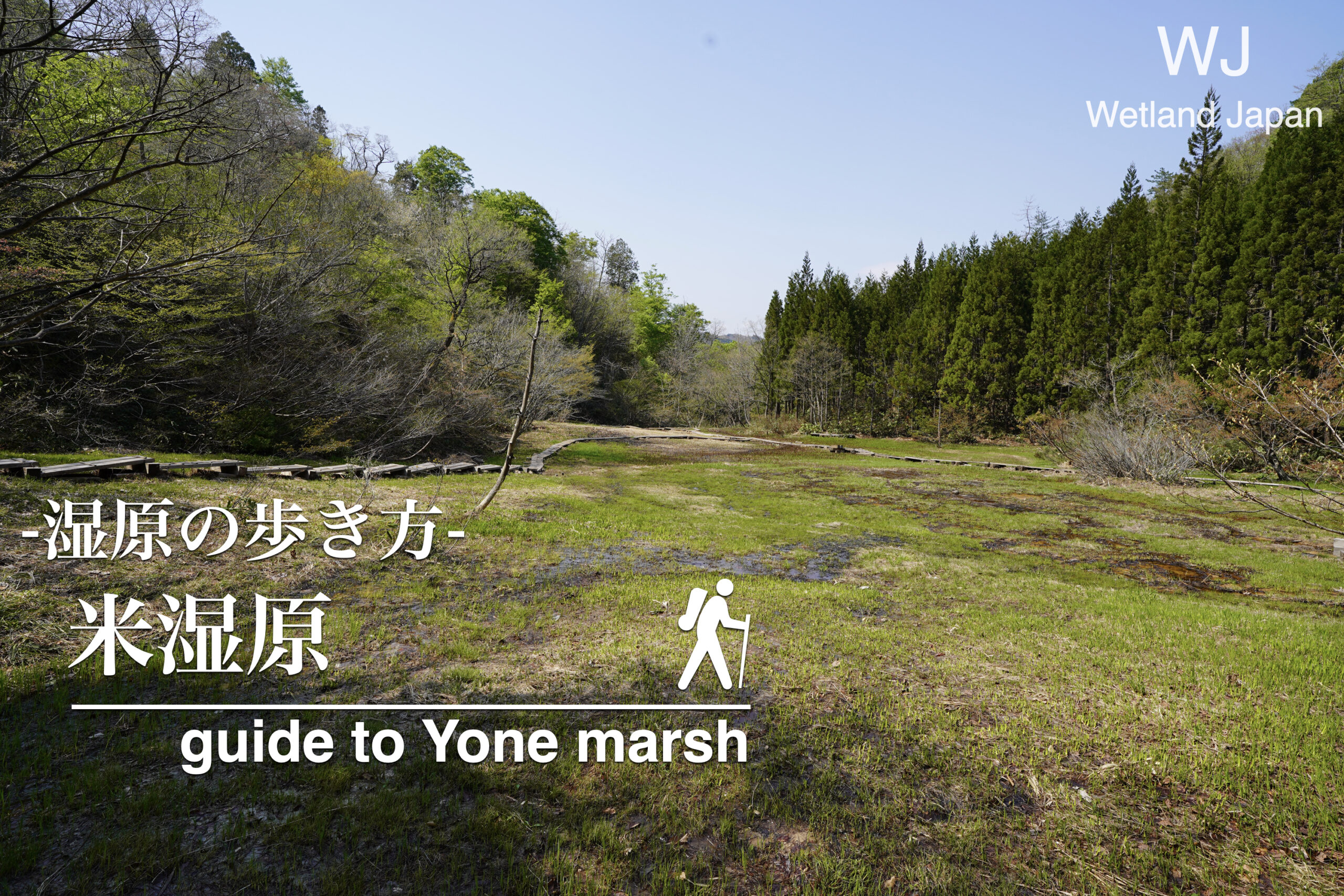 米湿原に行ってみよう！