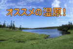 初めての湿原に-風景編-