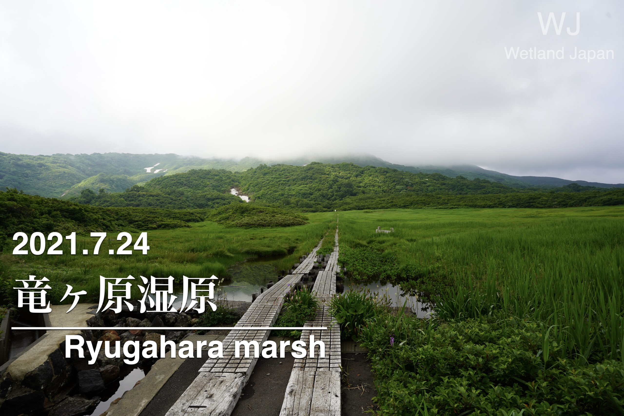 2021.7.24 竜ヶ原湿原-鳥海山のお膝元を満喫しました-