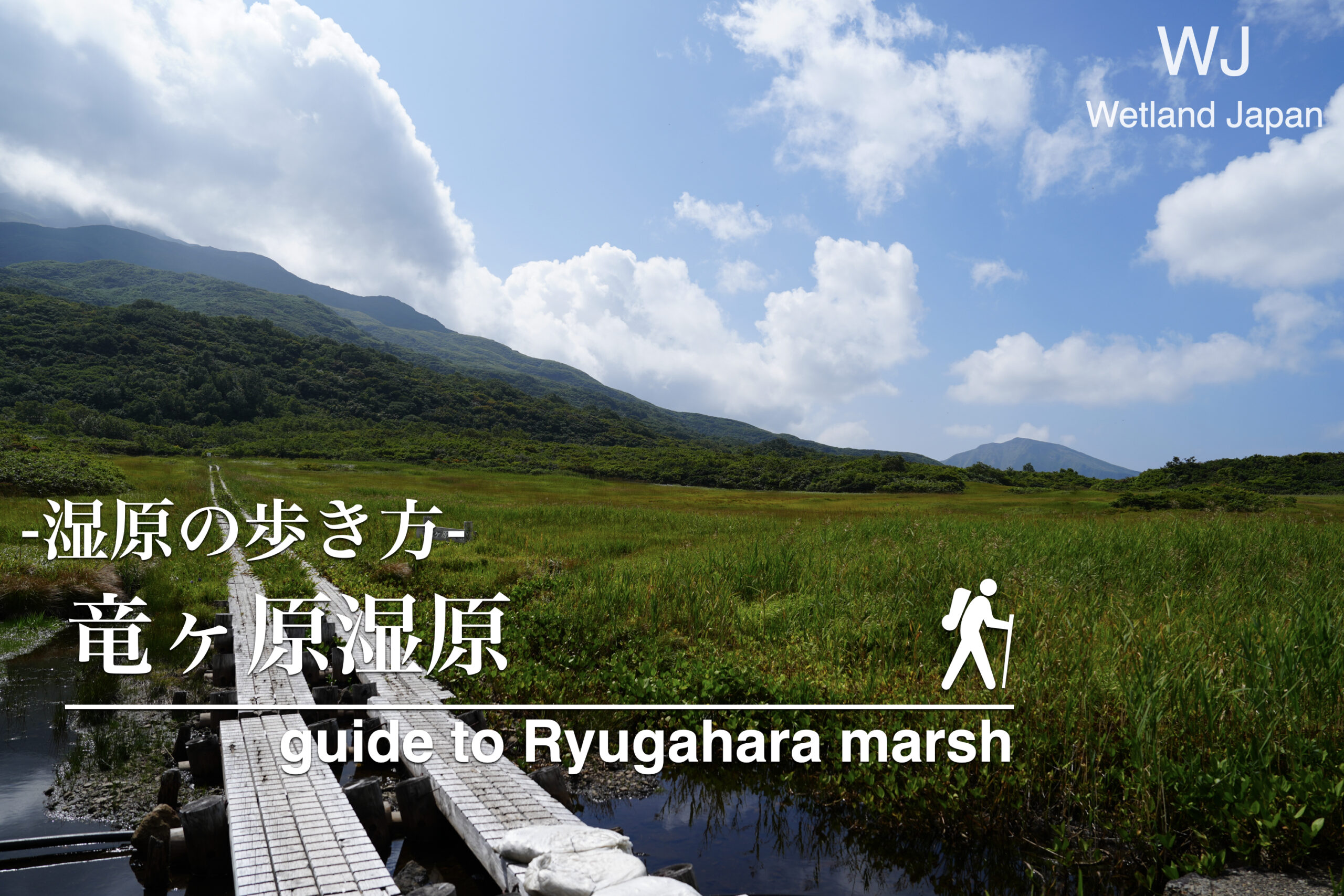 竜ヶ原湿原に行ってみよう！