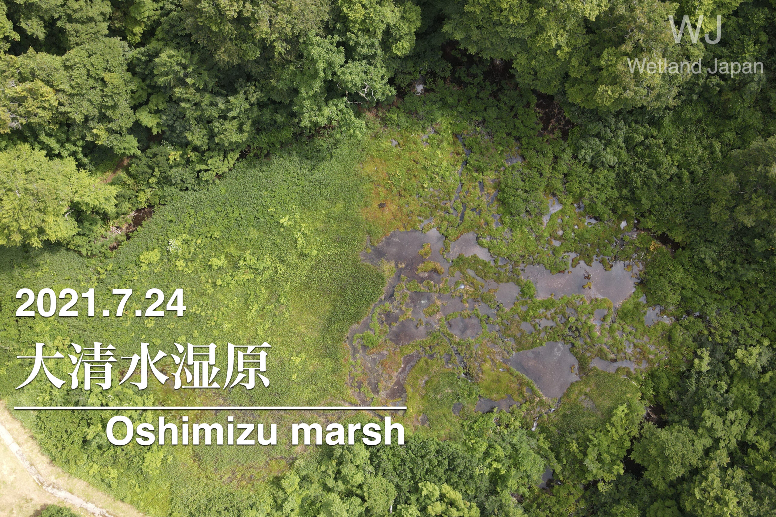 2021.7.24 大清水湿原-鳥海山登山口の湿原-