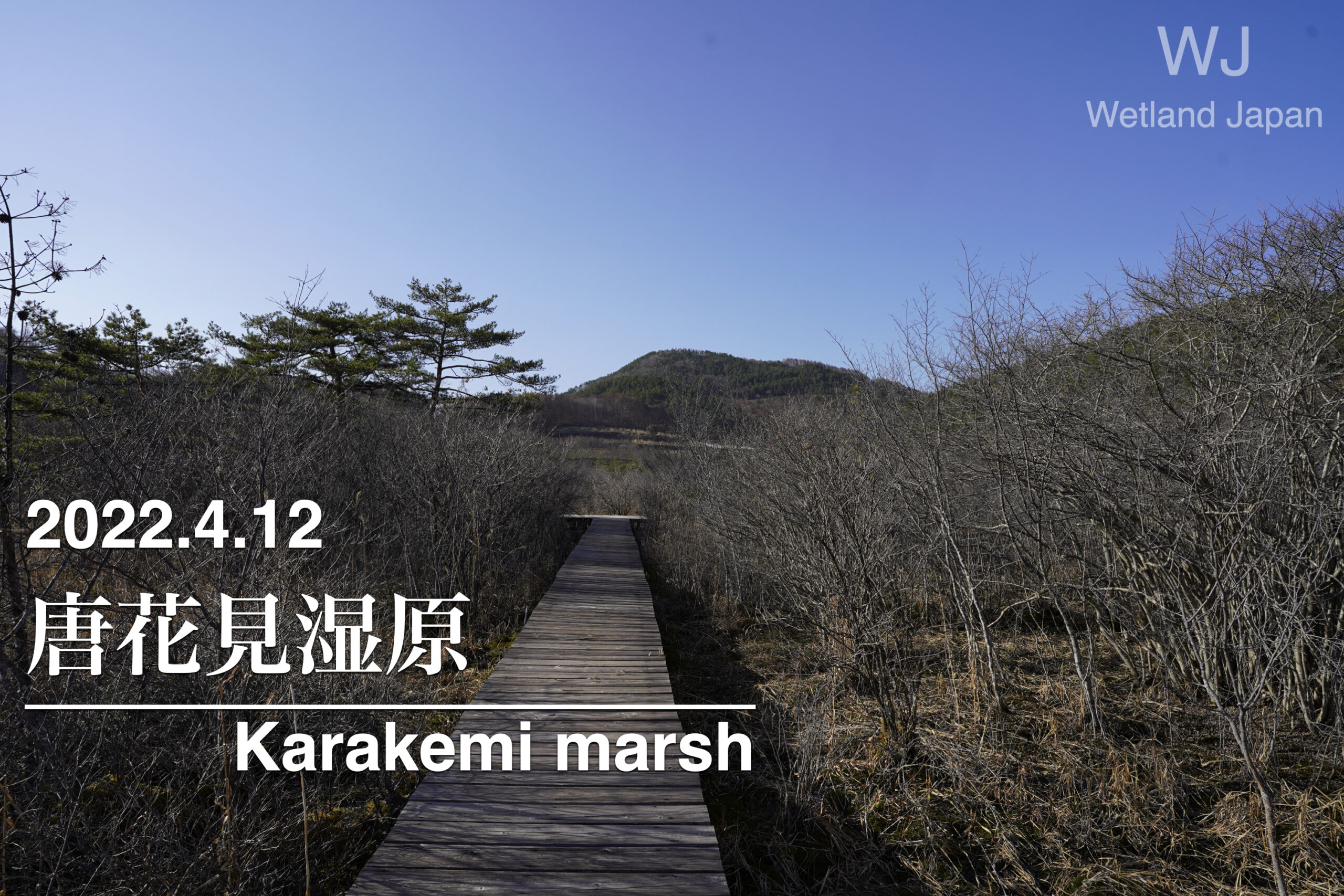 2022.4.12 唐花見湿原-寒さの残る夕方-
